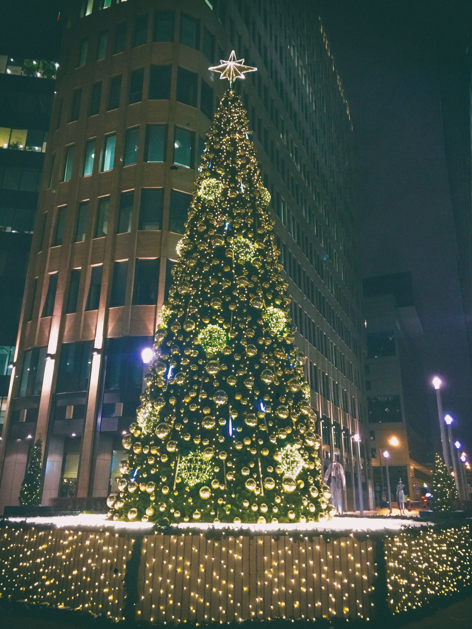iPhone 6 Plus back camera 4.15mm f/2.2 sample photo. Christmastree, newyear photography