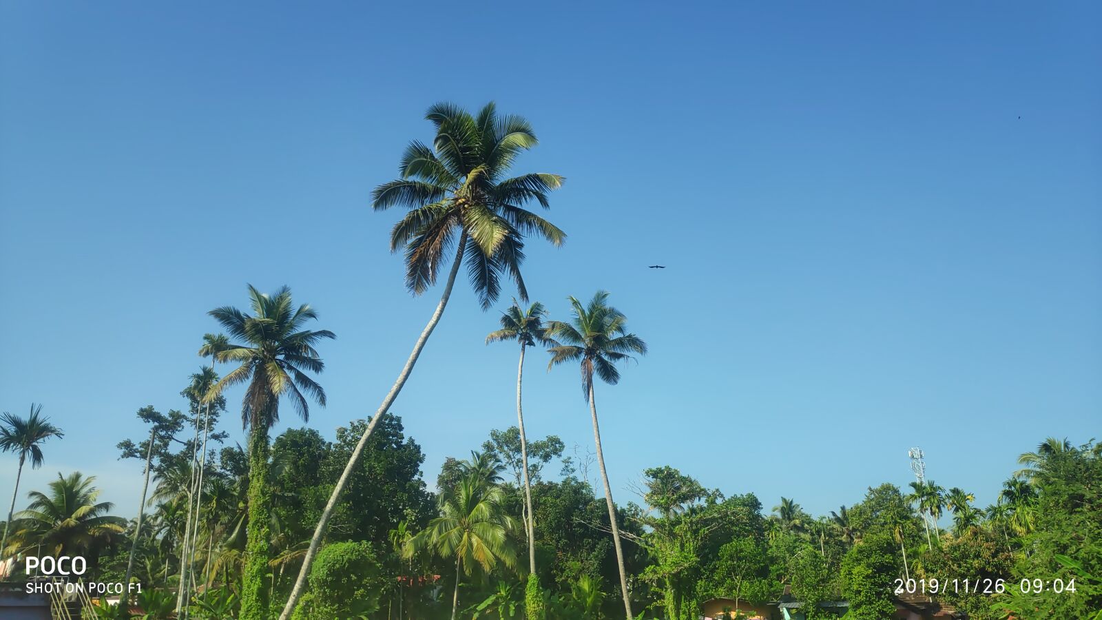 Xiaomi POCO F1 sample photo. Nature, beautiful, nature beauty photography