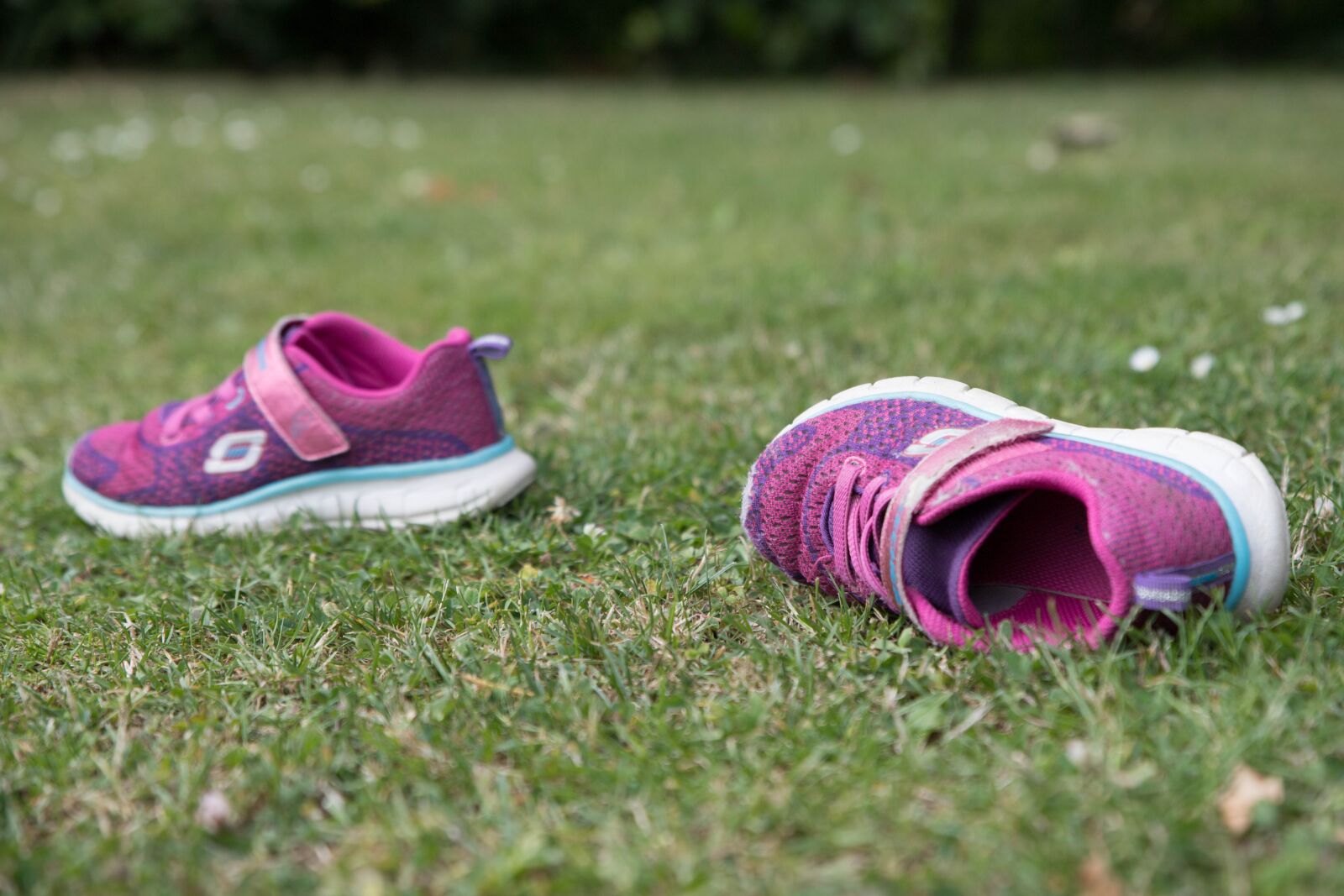 Canon EOS 6D Mark II sample photo. Shoe, play, lawn photography