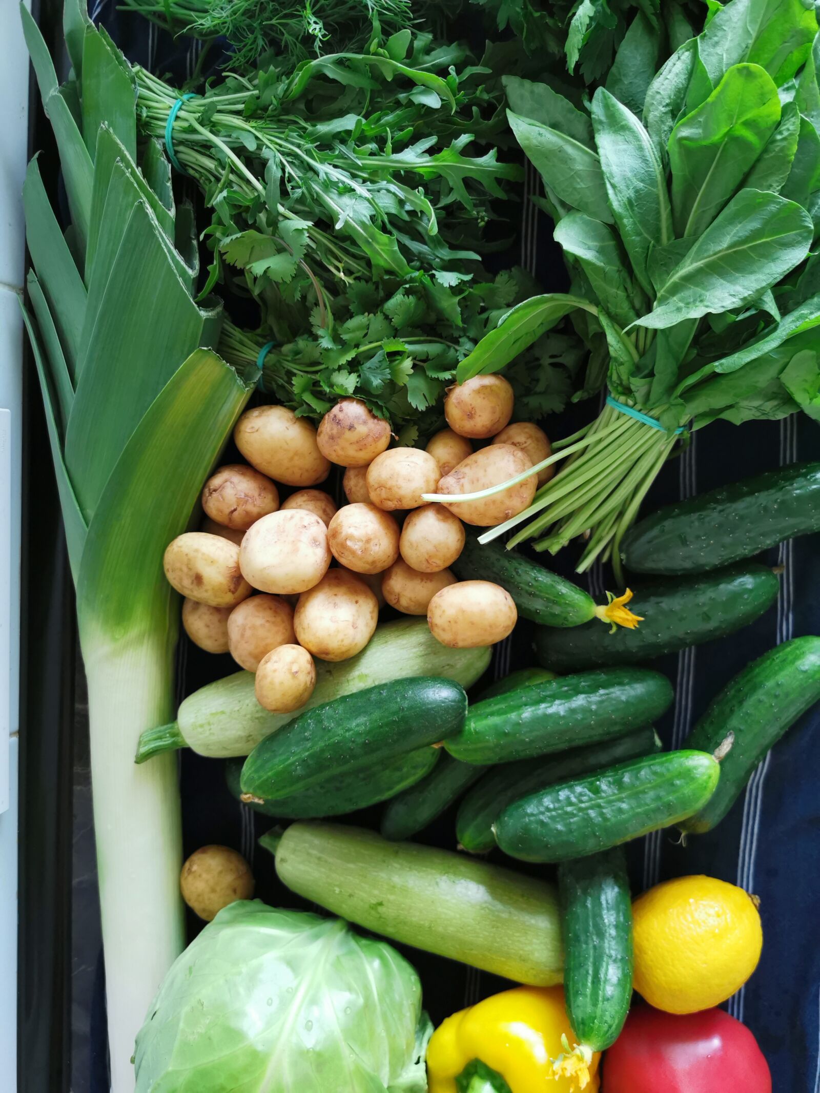 HUAWEI P30 Pro sample photo. Vegetables, cucumbers, tomatoes photography