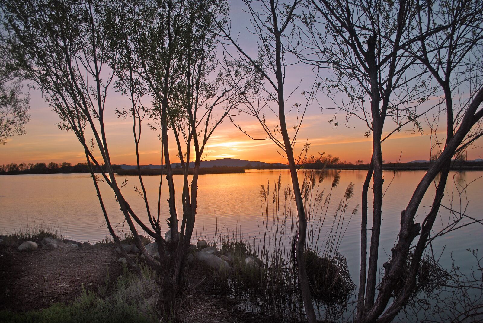 Nikon D60 sample photo. Sunset, lake, trees photography