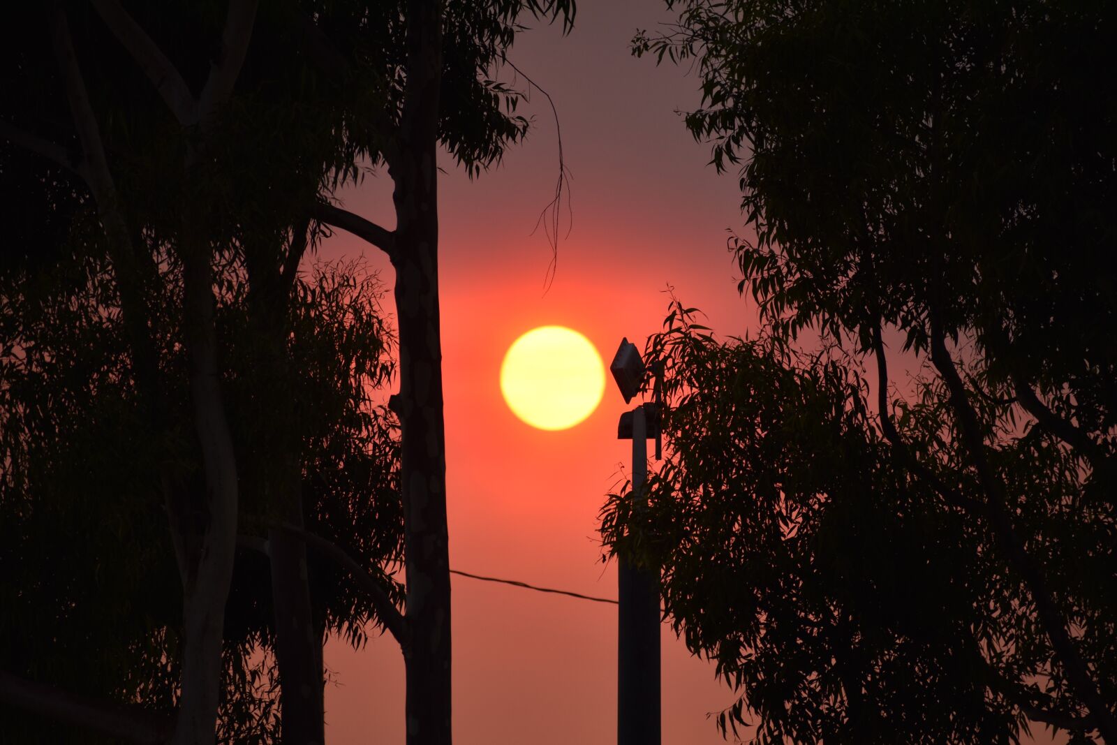 Nikon D3500 sample photo. Sun, heat wave, summer photography