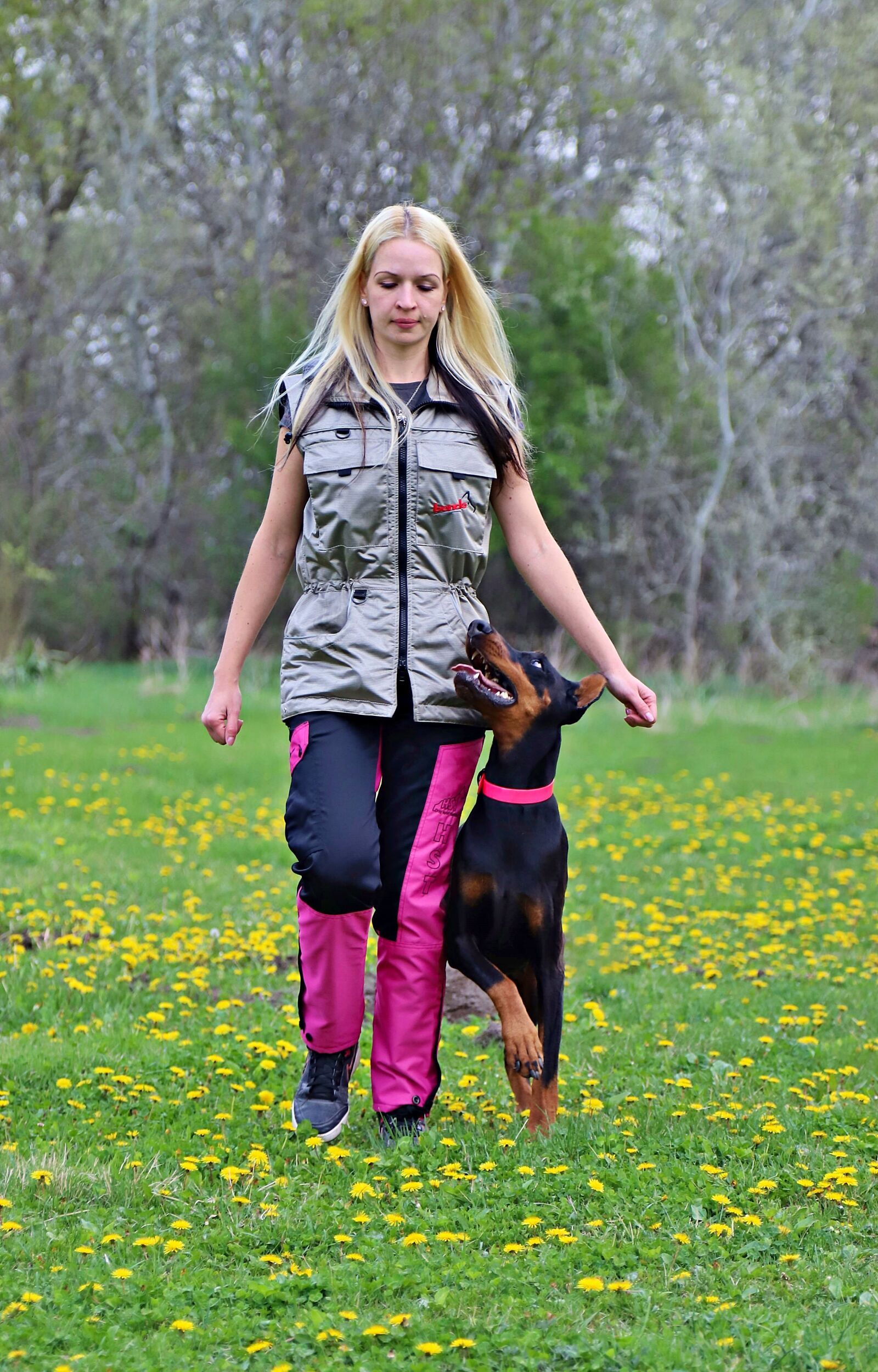 Canon EOS 6D Mark II sample photo. Doberman, dog, host photography