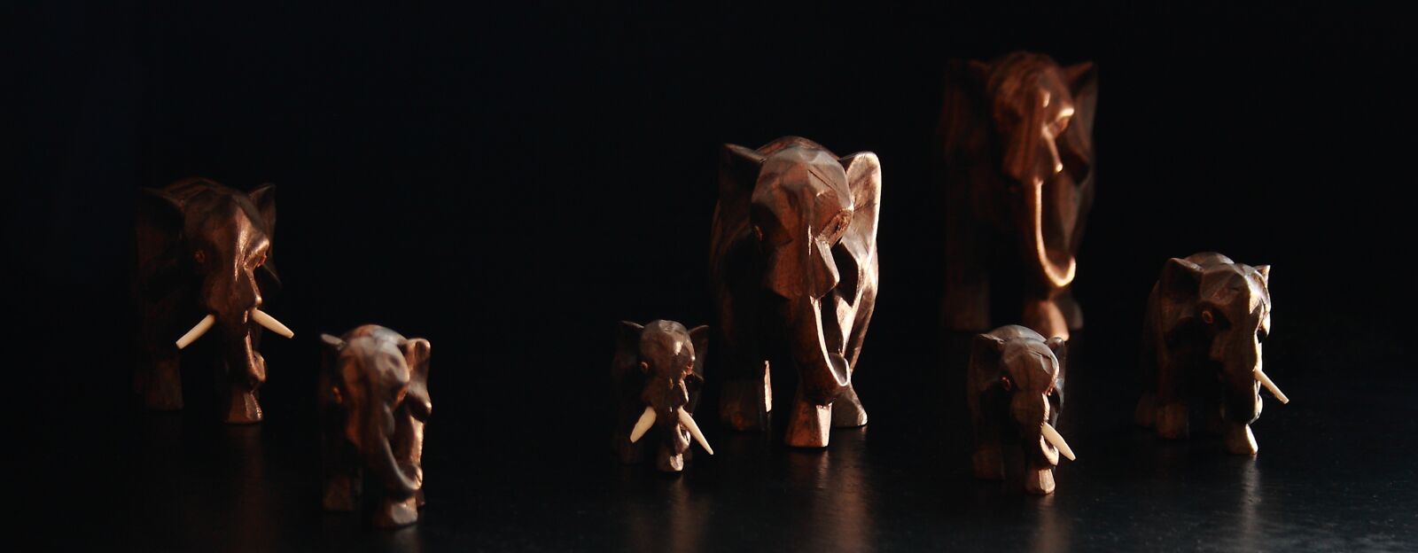 Canon EOS 400D (EOS Digital Rebel XTi / EOS Kiss Digital X) sample photo. Figure, expensive, elephant photography