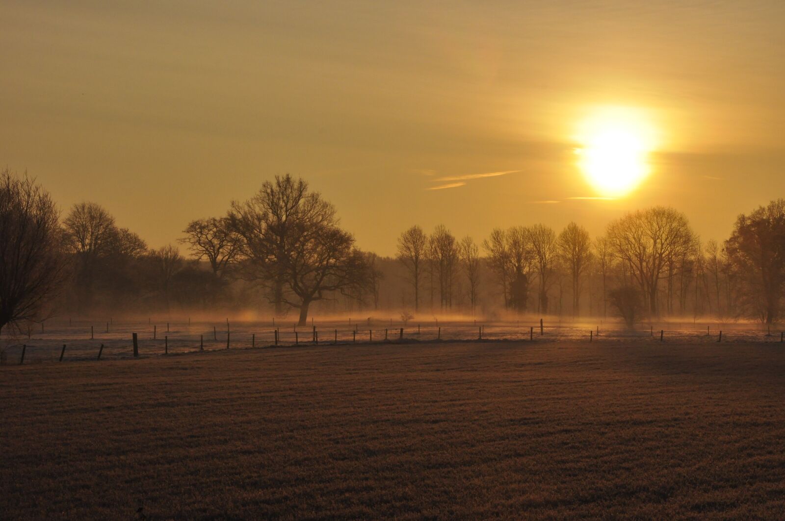 Nikon D90 sample photo. Sun, winter, sun almost photography