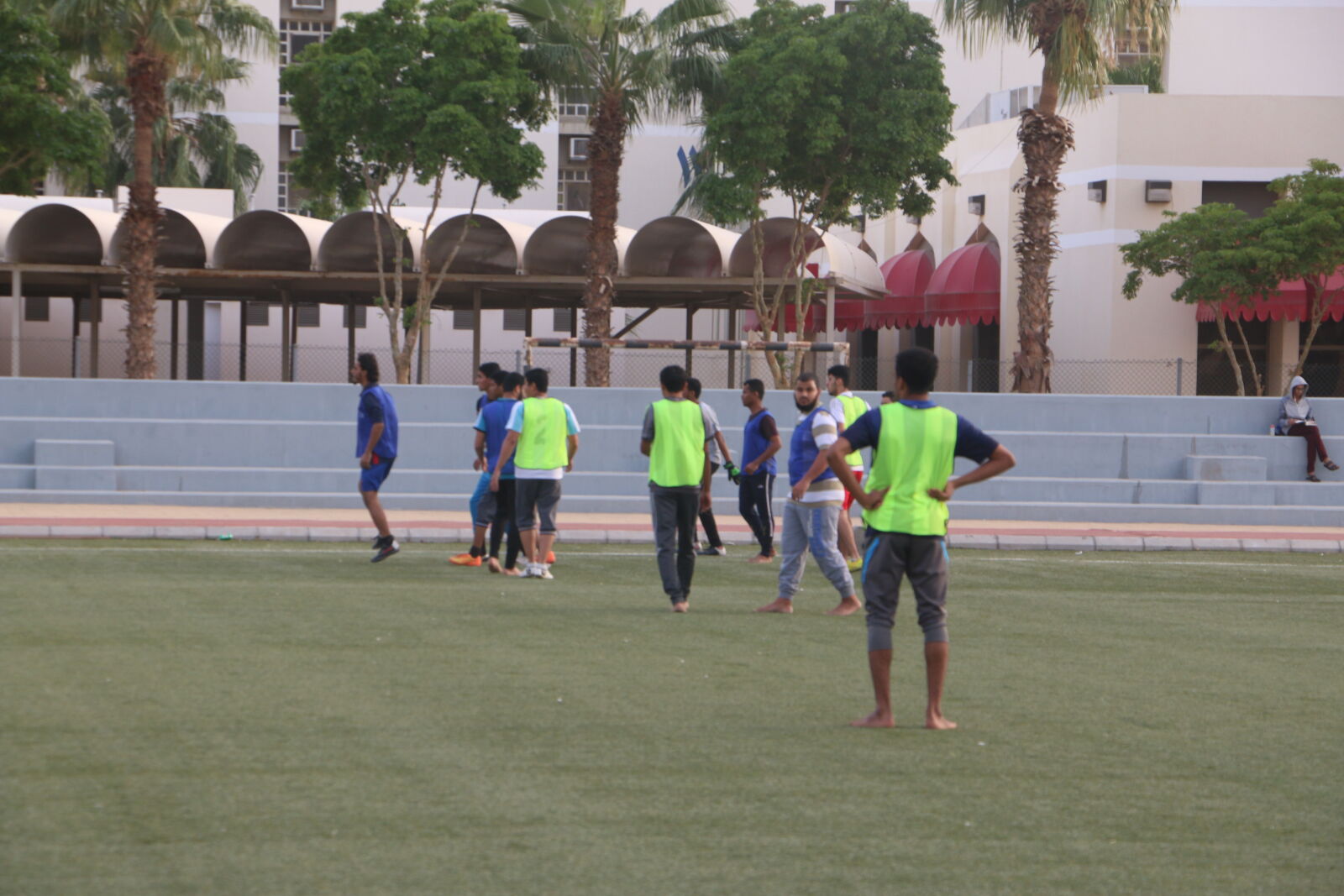 Canon EOS 70D sample photo