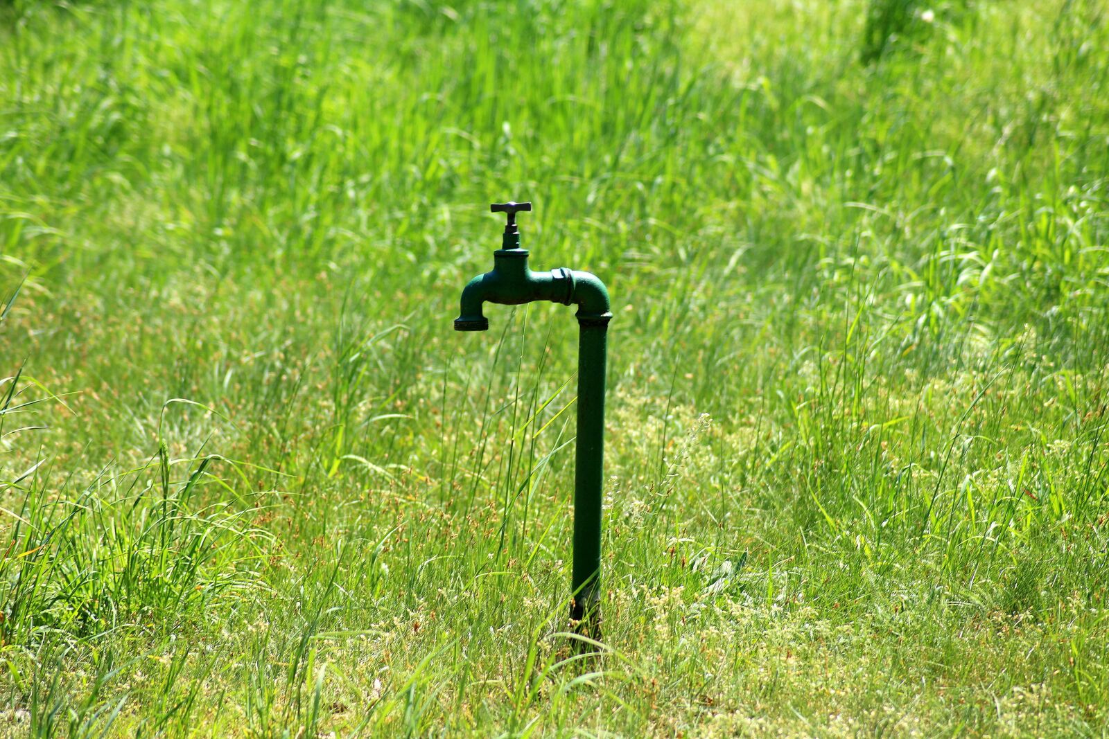Canon EOS 1200D (EOS Rebel T5 / EOS Kiss X70 / EOS Hi) sample photo. Faucet, fire hydrant, waterworks photography