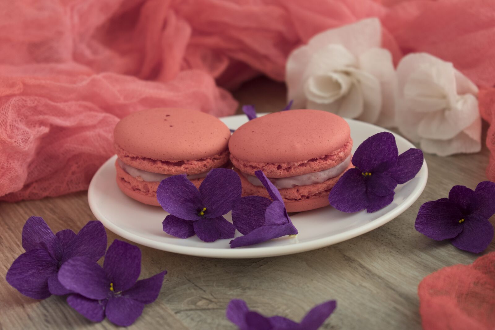 Nikon D3400 sample photo. Macaroons, macro, cookies photography