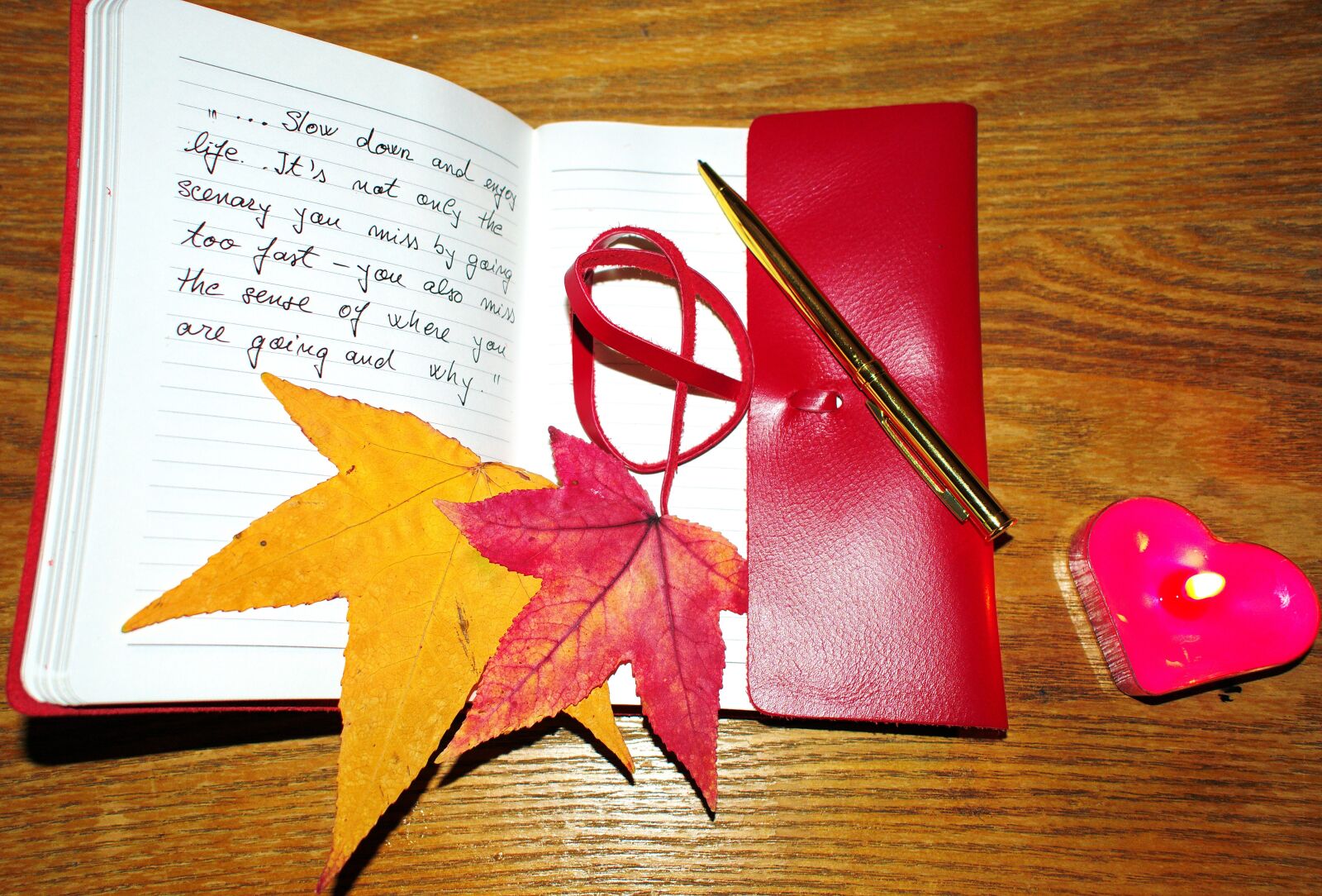 Nikon D3300 sample photo. Enjoy life, notebook, pen photography