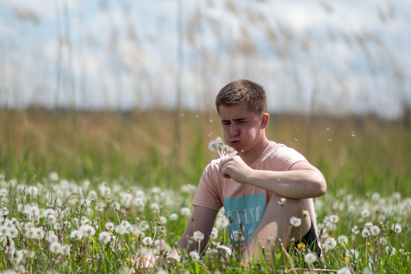 Nikon D5600 sample photo. Nature, spring, dandelions photography