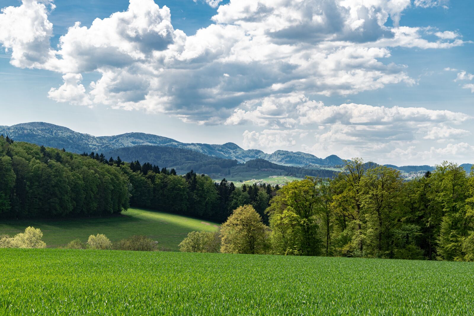 Canon EOS 6D Mark II sample photo. Landscape, green, basel-land photography