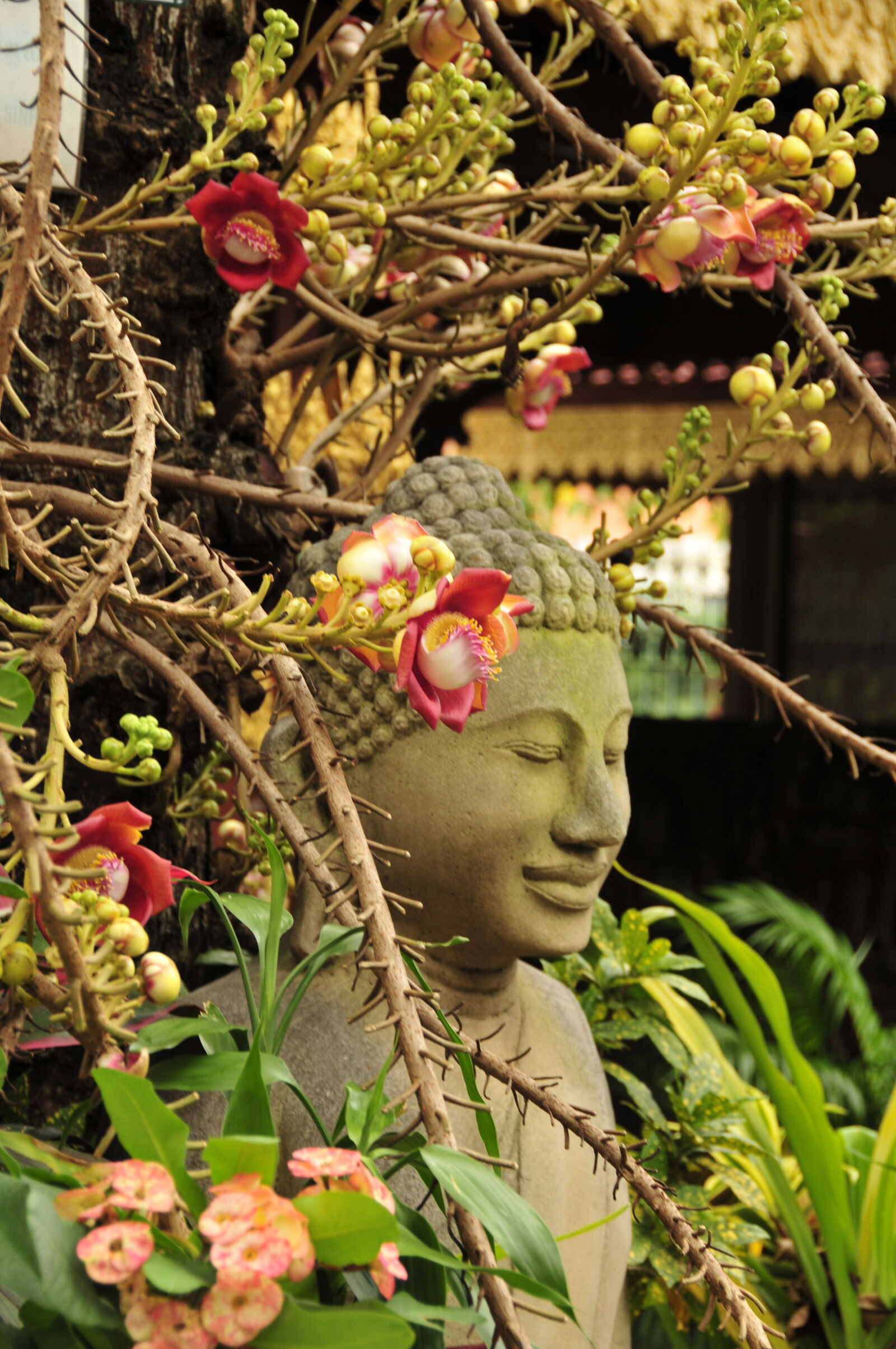 Nikon D300S sample photo