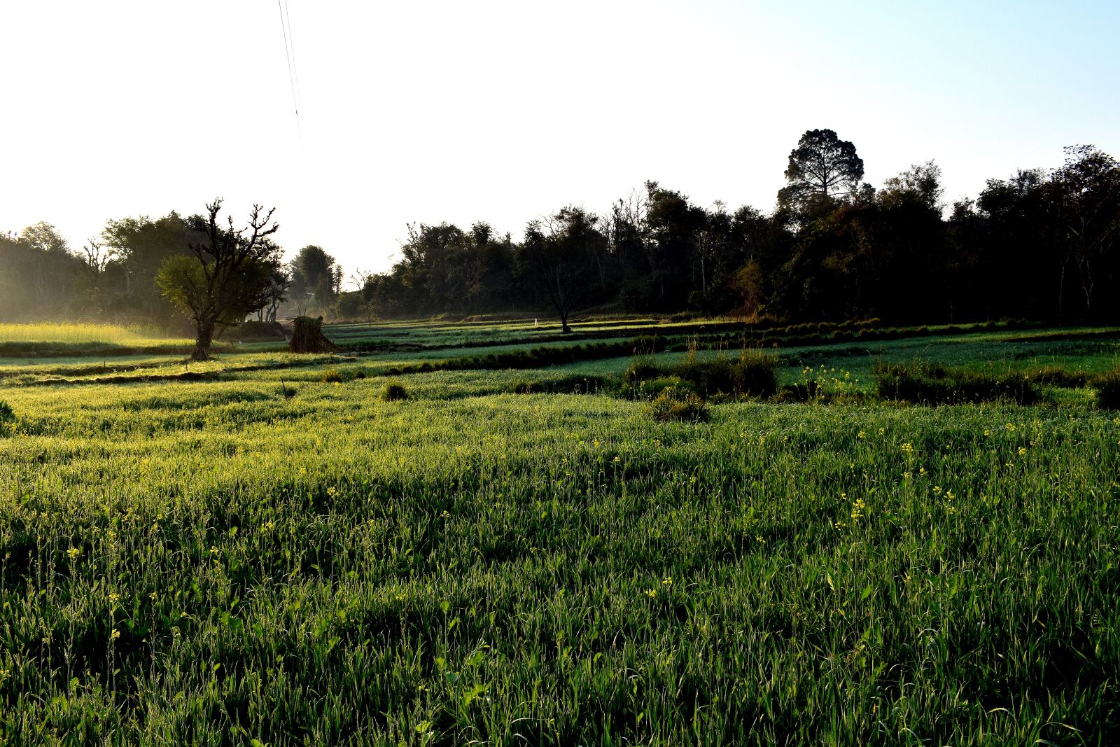 Nikon D3300 sample photo. Landscape, field, panoramic photography