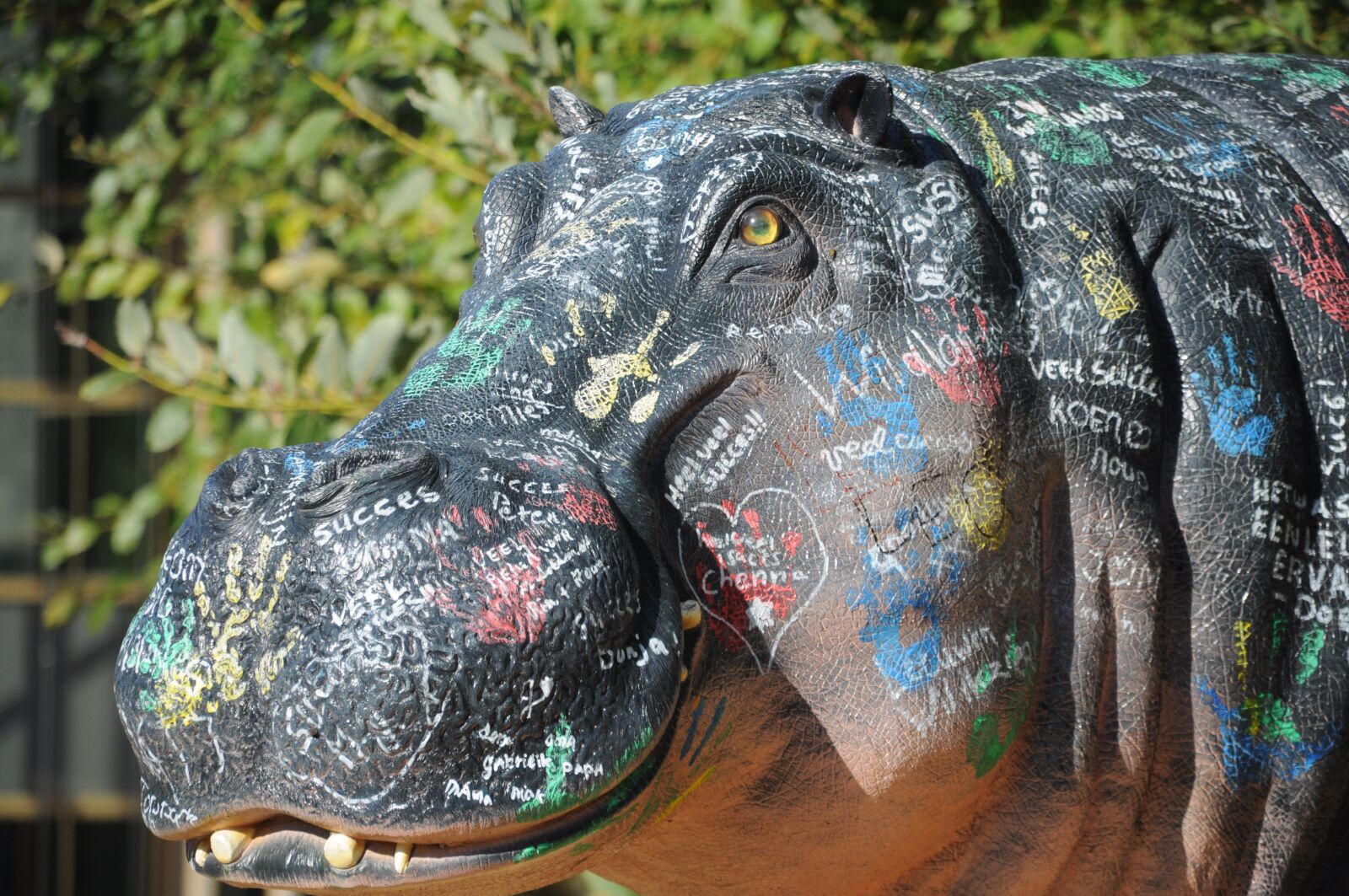 Nikon D5000 sample photo. Nature, animal, plastic photography