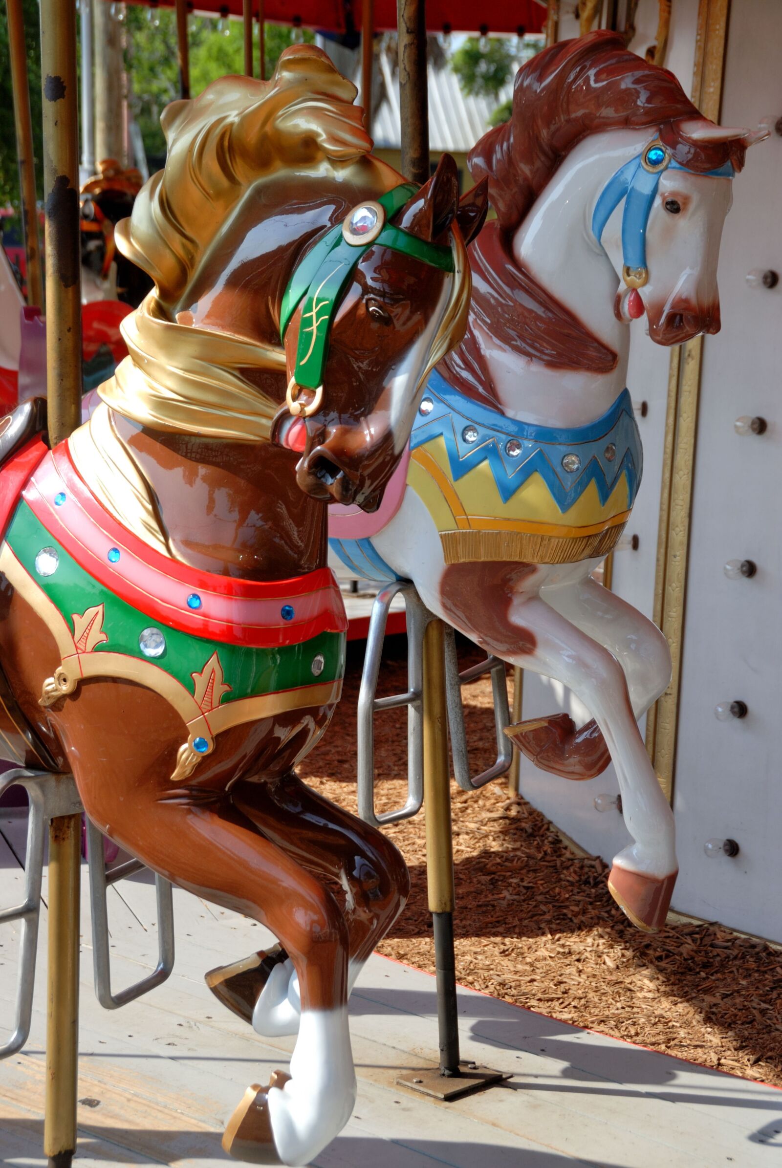 Nikon D200 sample photo. Merry go round, horses photography