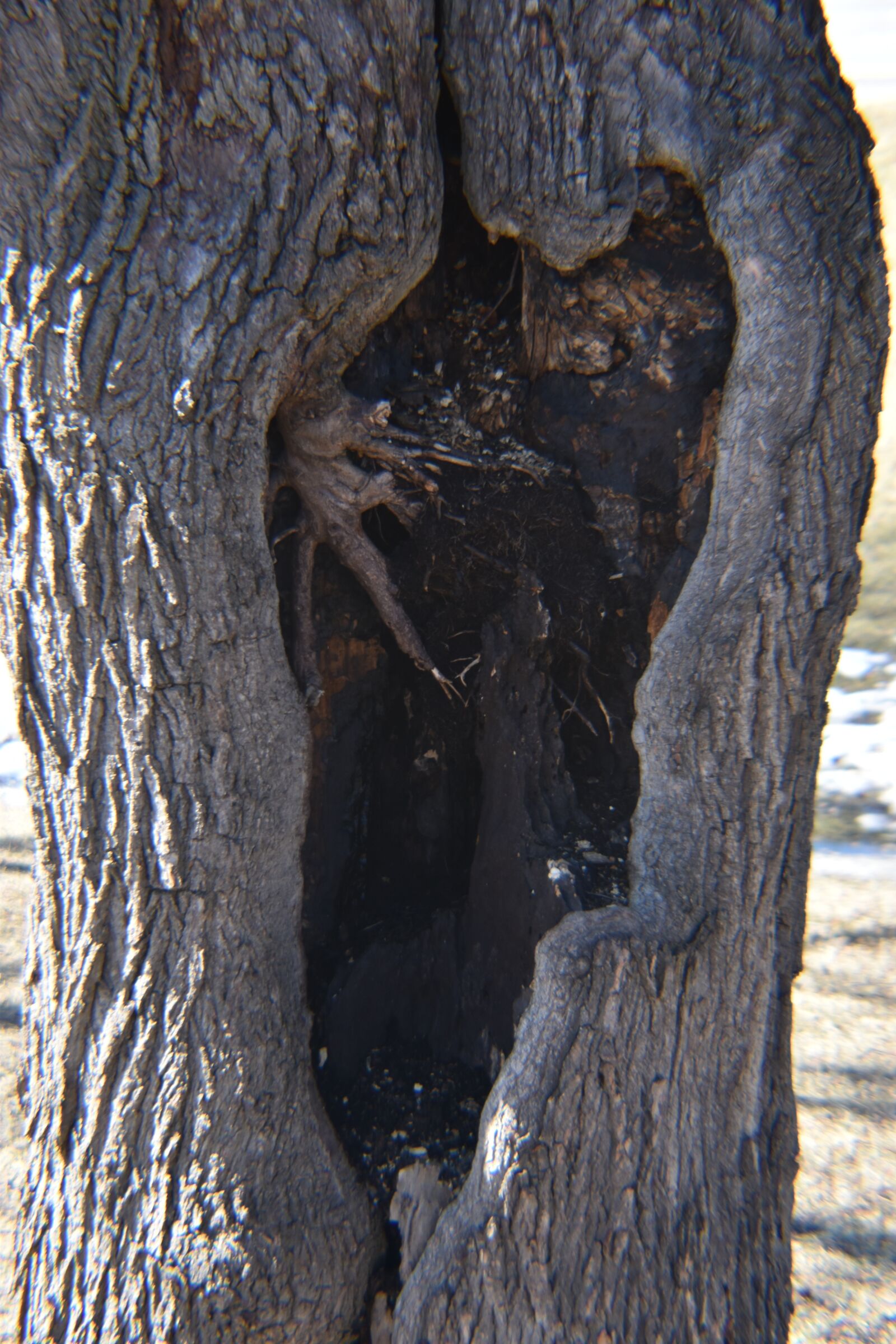 Nikon D3500 sample photo