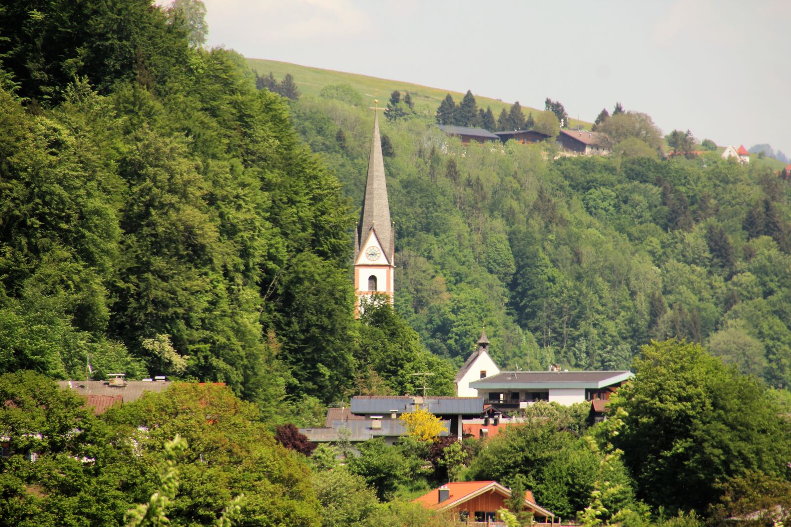 Canon EOS 60D sample photo. Forest, trees, church photography