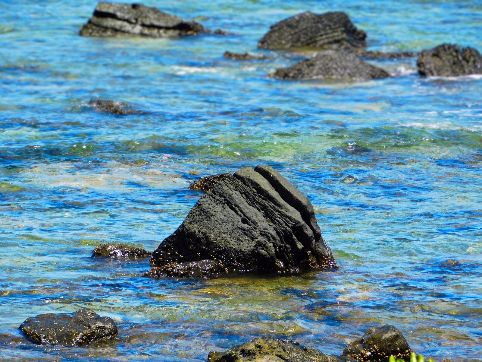 Nikon Coolpix B500 sample photo. Beach, rock in sea photography