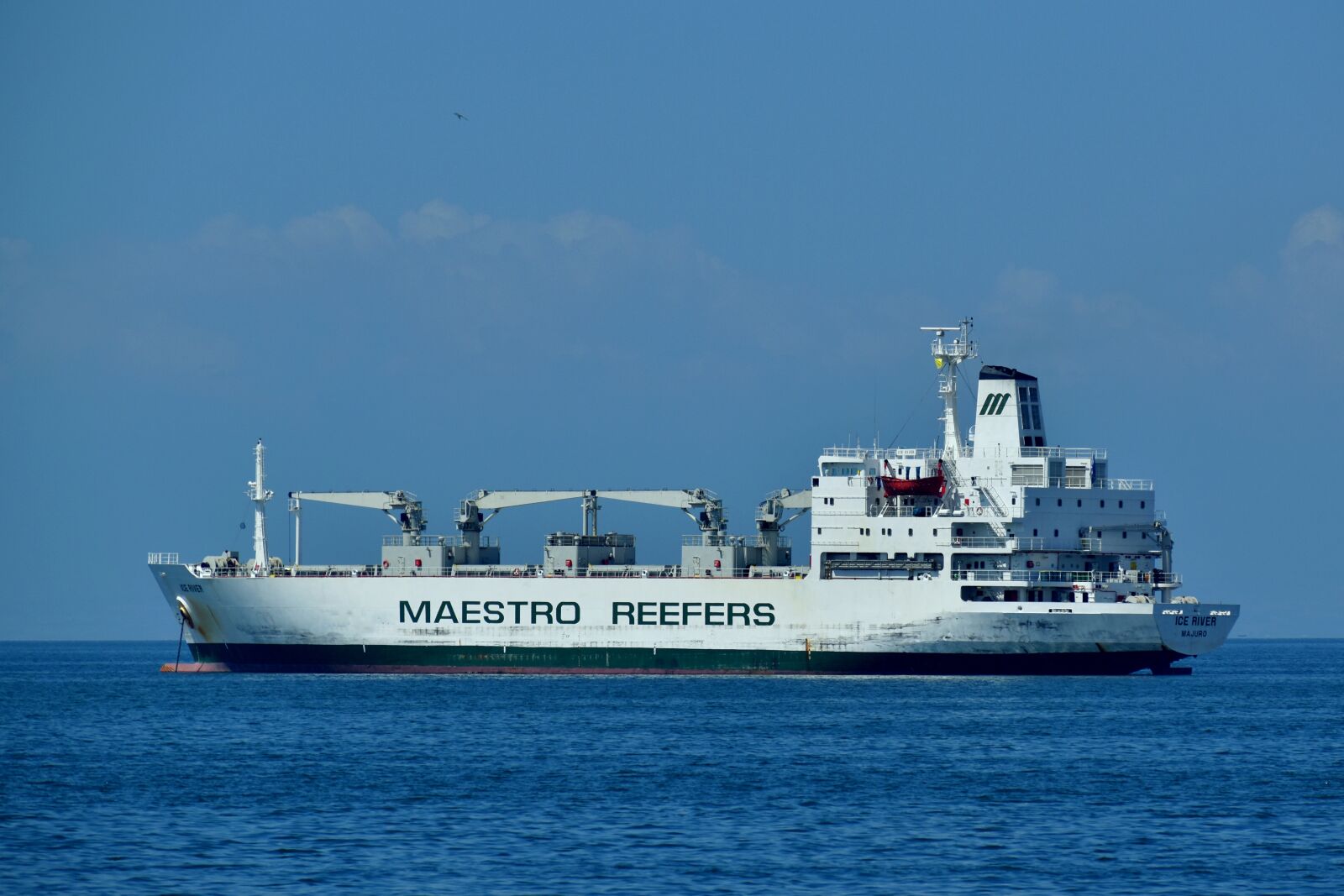 Nikon D3500 sample photo. Ship, cargo, vessel photography