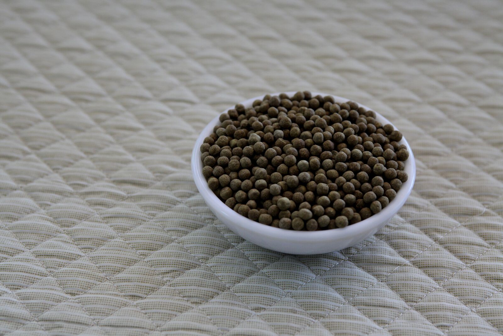Canon EOS 5D Mark II sample photo. Pills, chinese medicine, bitter photography