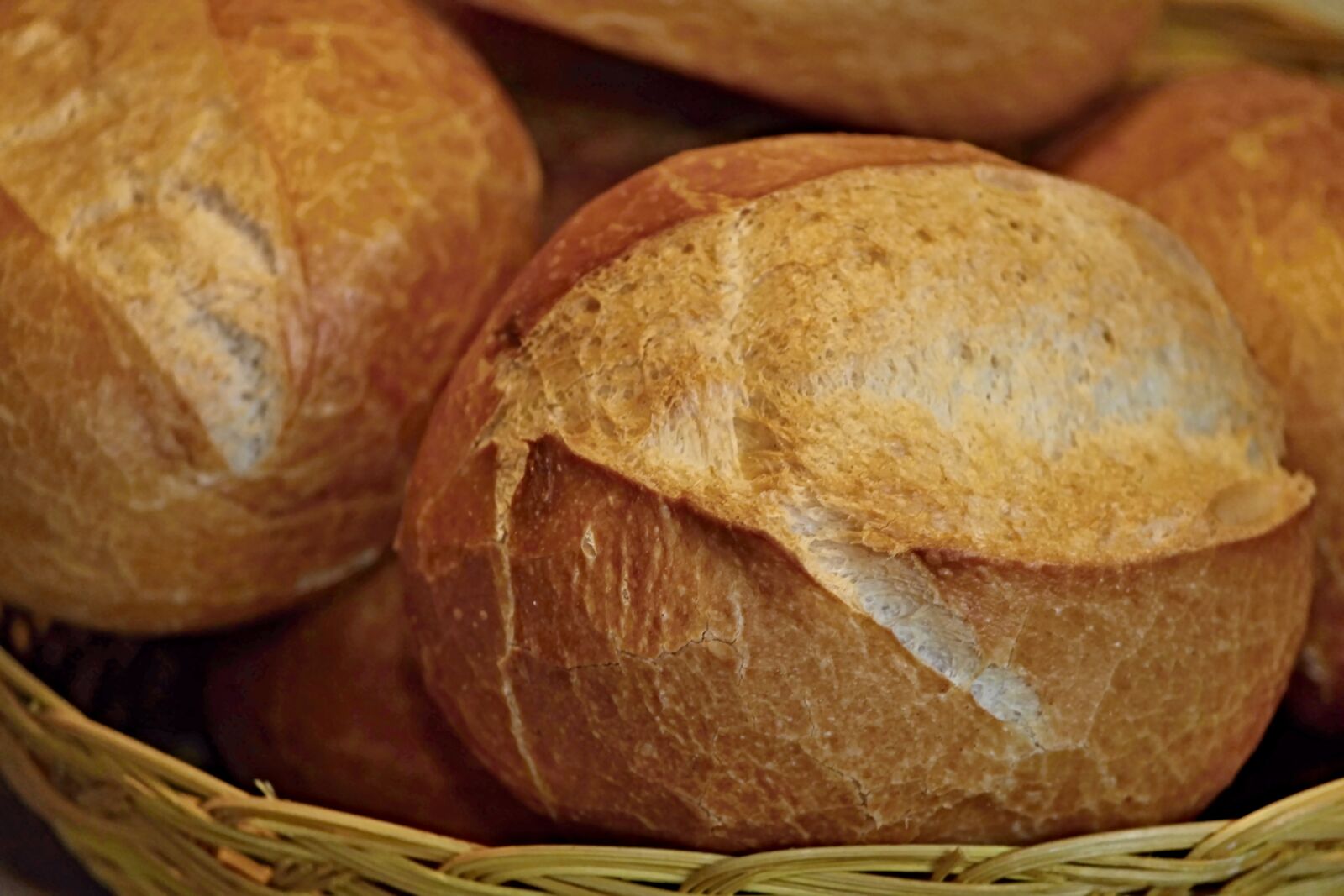 Canon EOS 1100D (EOS Rebel T3 / EOS Kiss X50) sample photo. Roll, breakfast sandwiches, breakfast photography