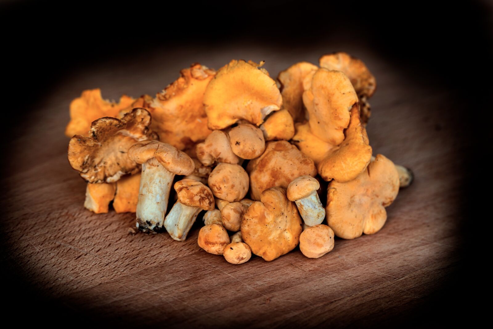 Canon EF 100mm F2.8L Macro IS USM sample photo. Chanterelles, forest, eierschwammerl photography