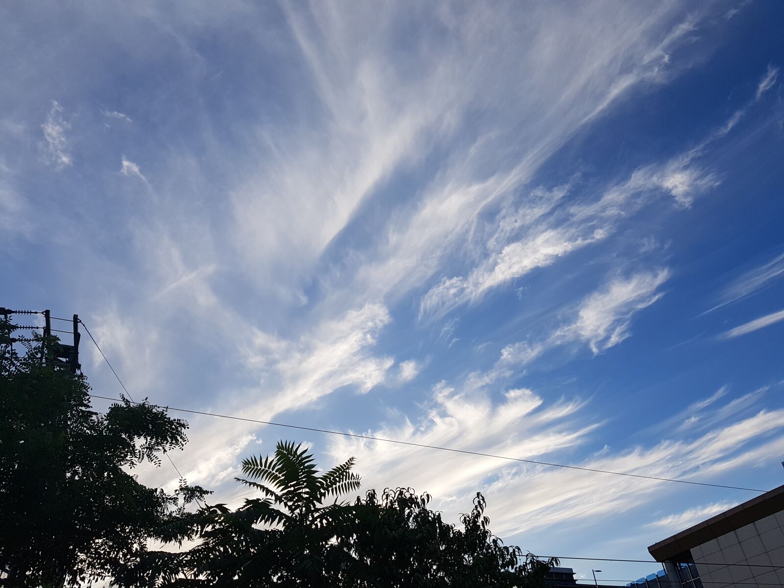 Samsung Galaxy Note Fan Edition sample photo. Sky, cloud, wood photography
