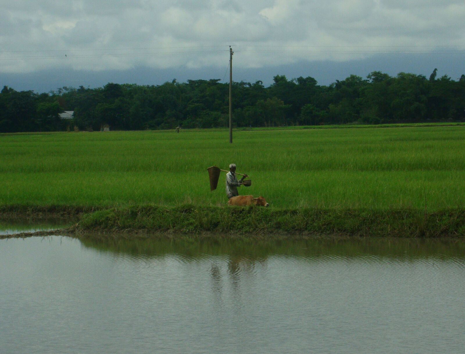 Sony Cyber-shot DSC-H50 sample photo. Farmer photography