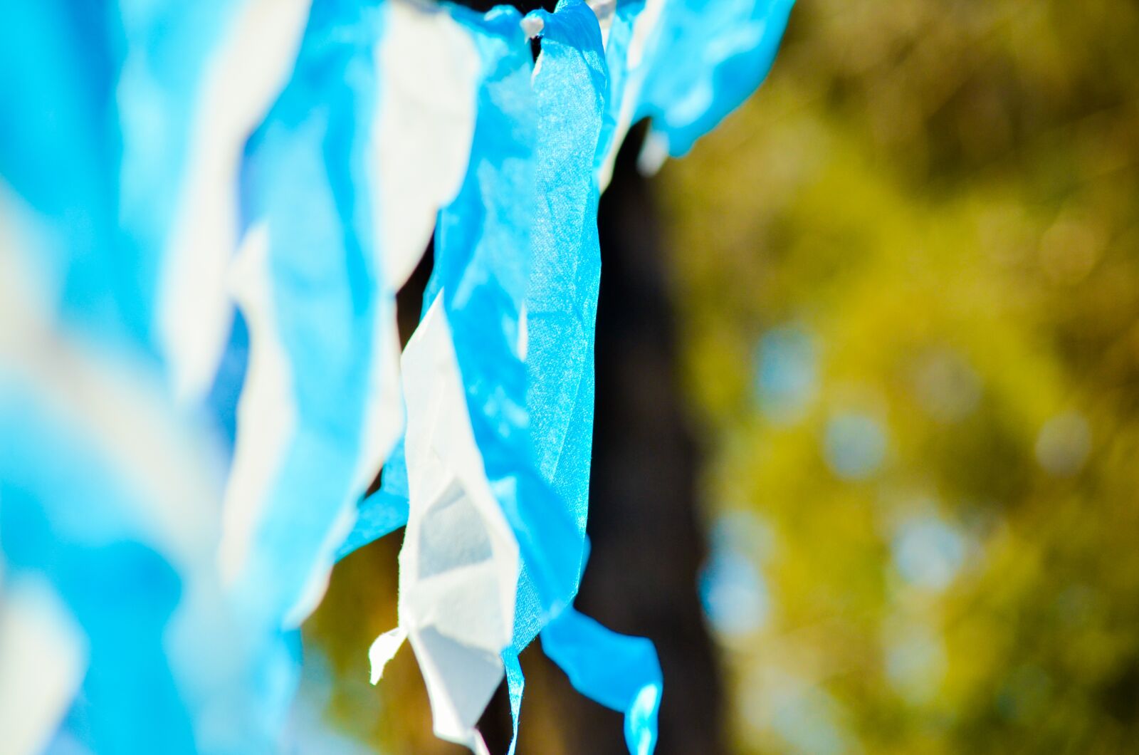 Nikon D7000 sample photo. Banderin, homeland, celeste photography