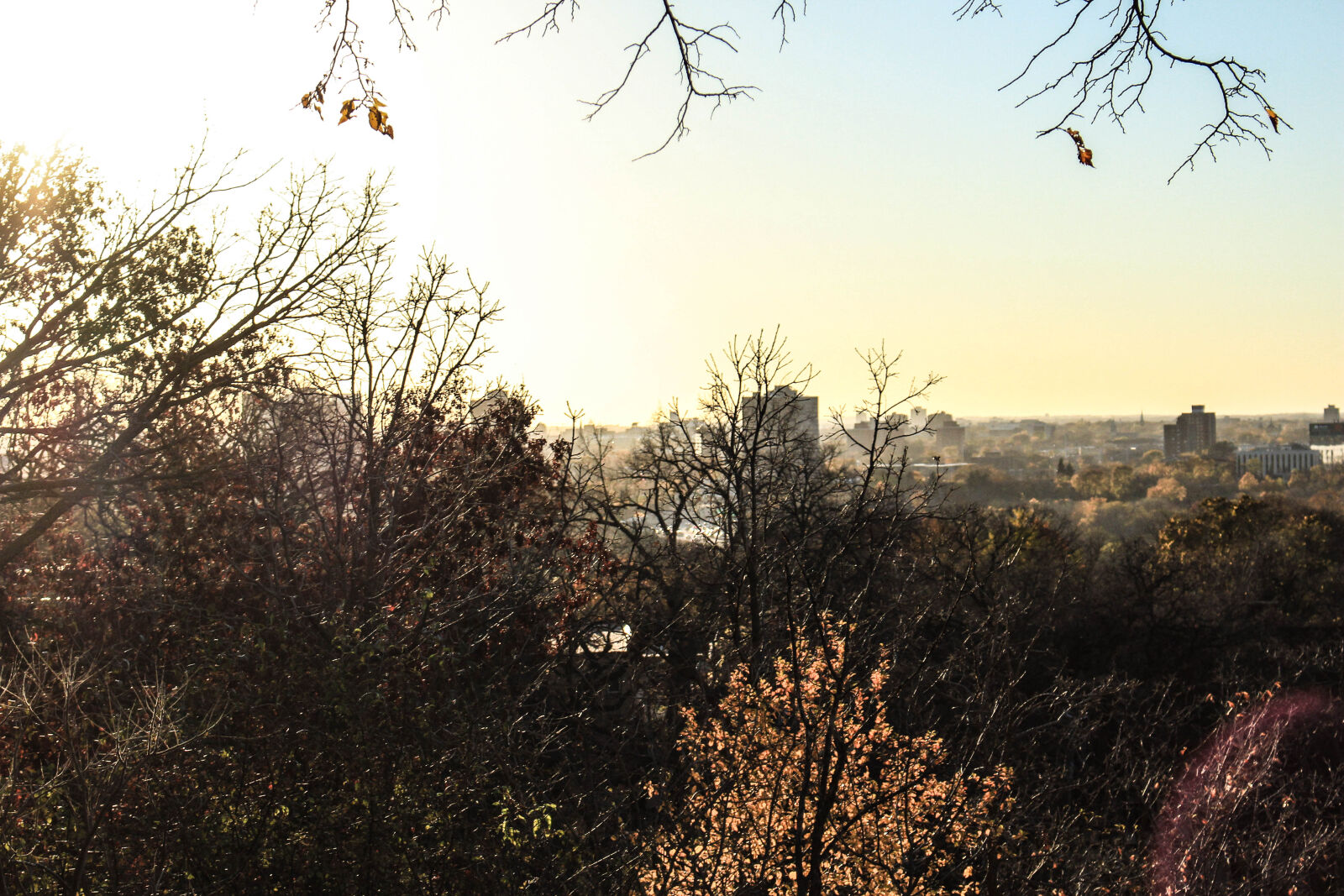 Canon EOS 700D (EOS Rebel T5i / EOS Kiss X7i) sample photo. Evening, jared, nanasy, landscape photography