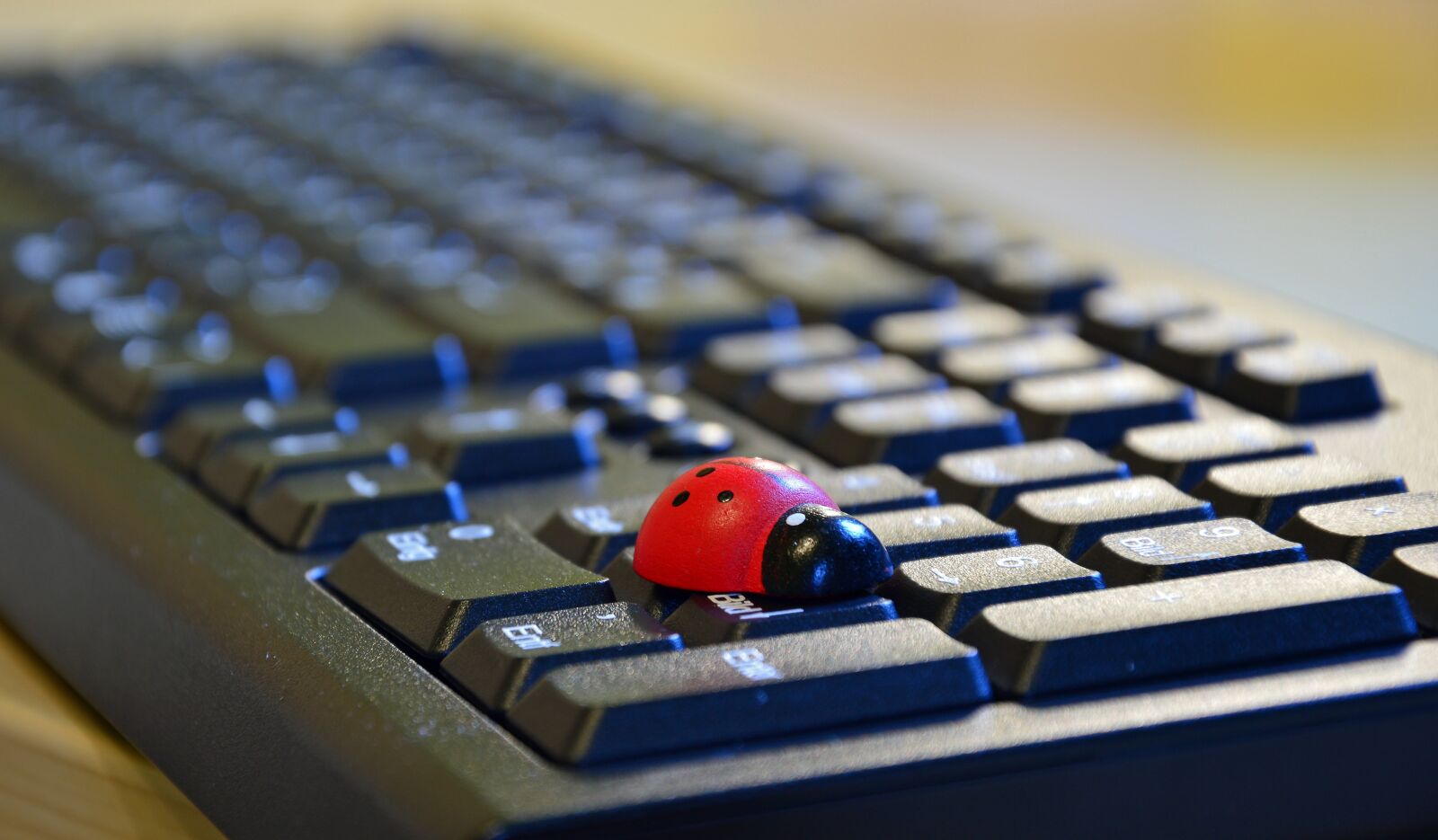 Nikon D3200 sample photo. Lucky charm, ladybug, lucky photography