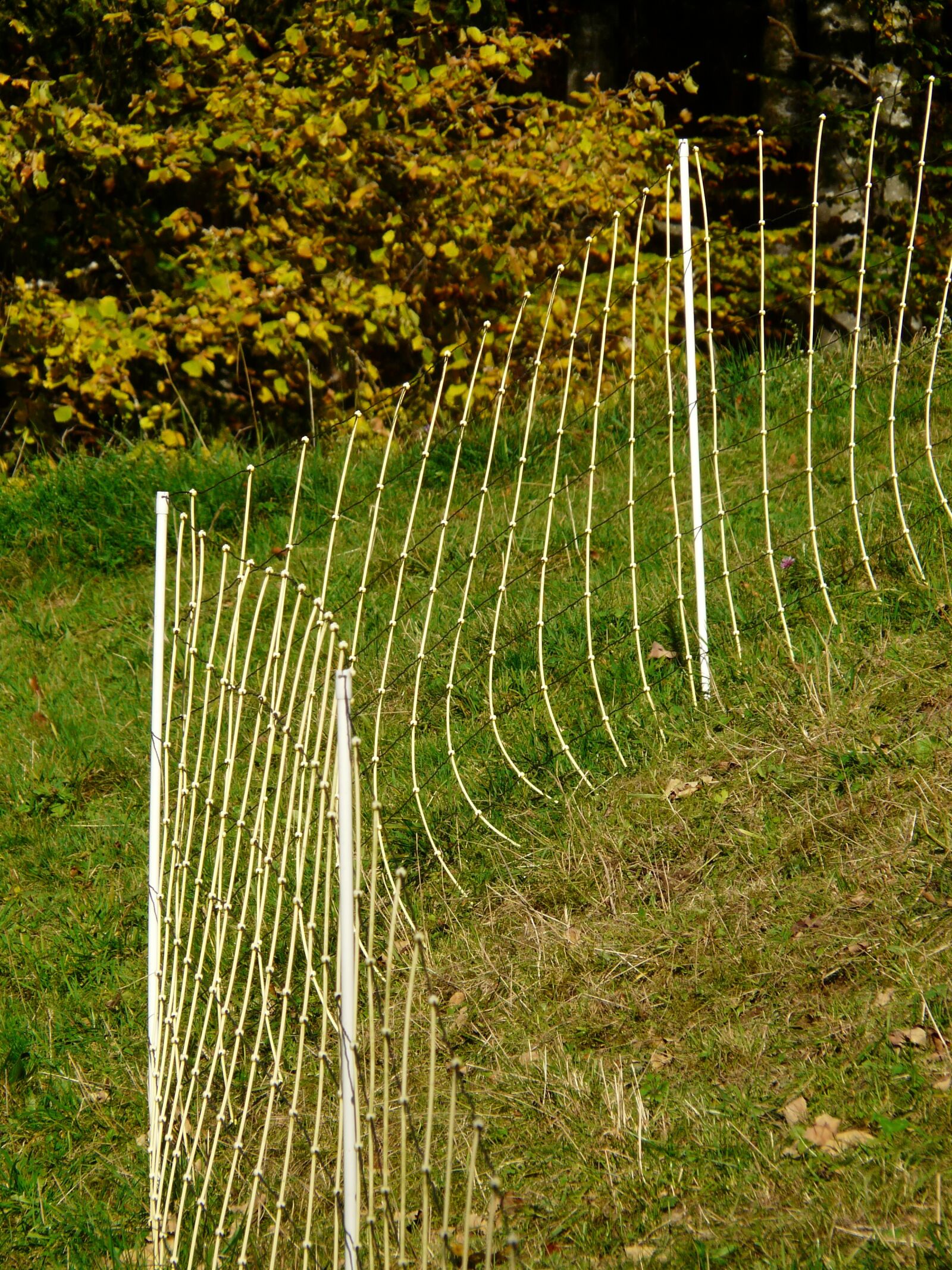 Panasonic DMC-FZ18 sample photo. Fence, pasture fence, pasture photography