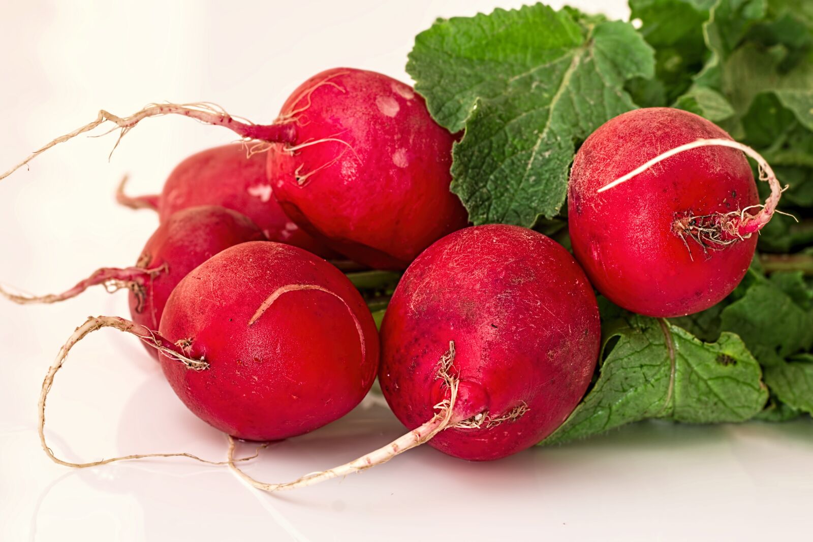Canon EF 100mm F2.8L Macro IS USM sample photo. Radish, vegetable, root photography