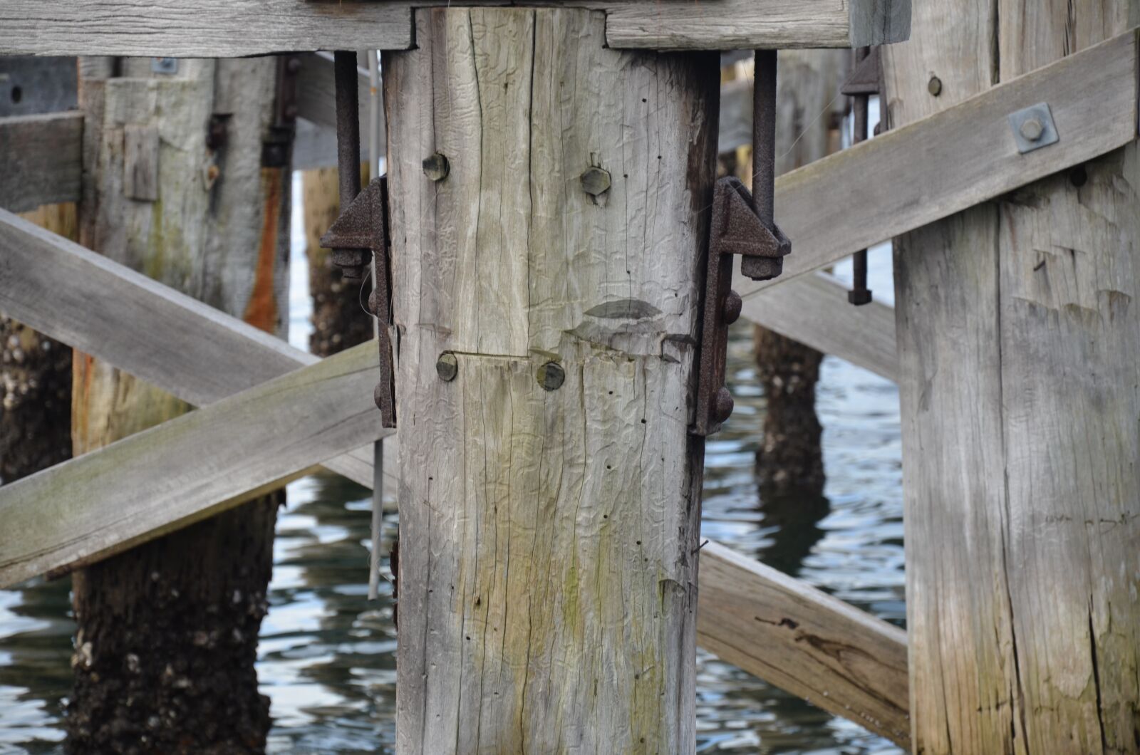 Nikon D7000 sample photo. Wharf, water, pyrmont photography