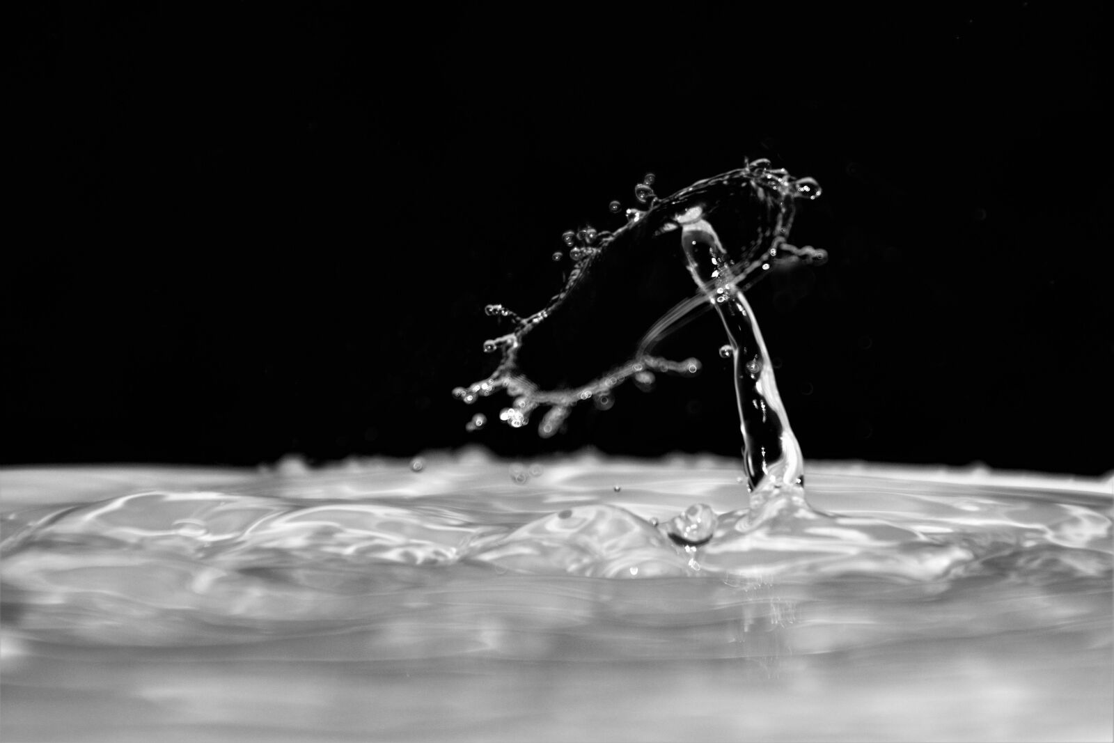 Nikon D5300 sample photo. Waterdrops, droplets, water photography