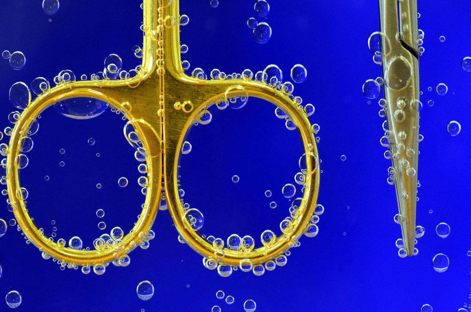 Nikon D3300 sample photo. Scissors, wash, washing machine photography