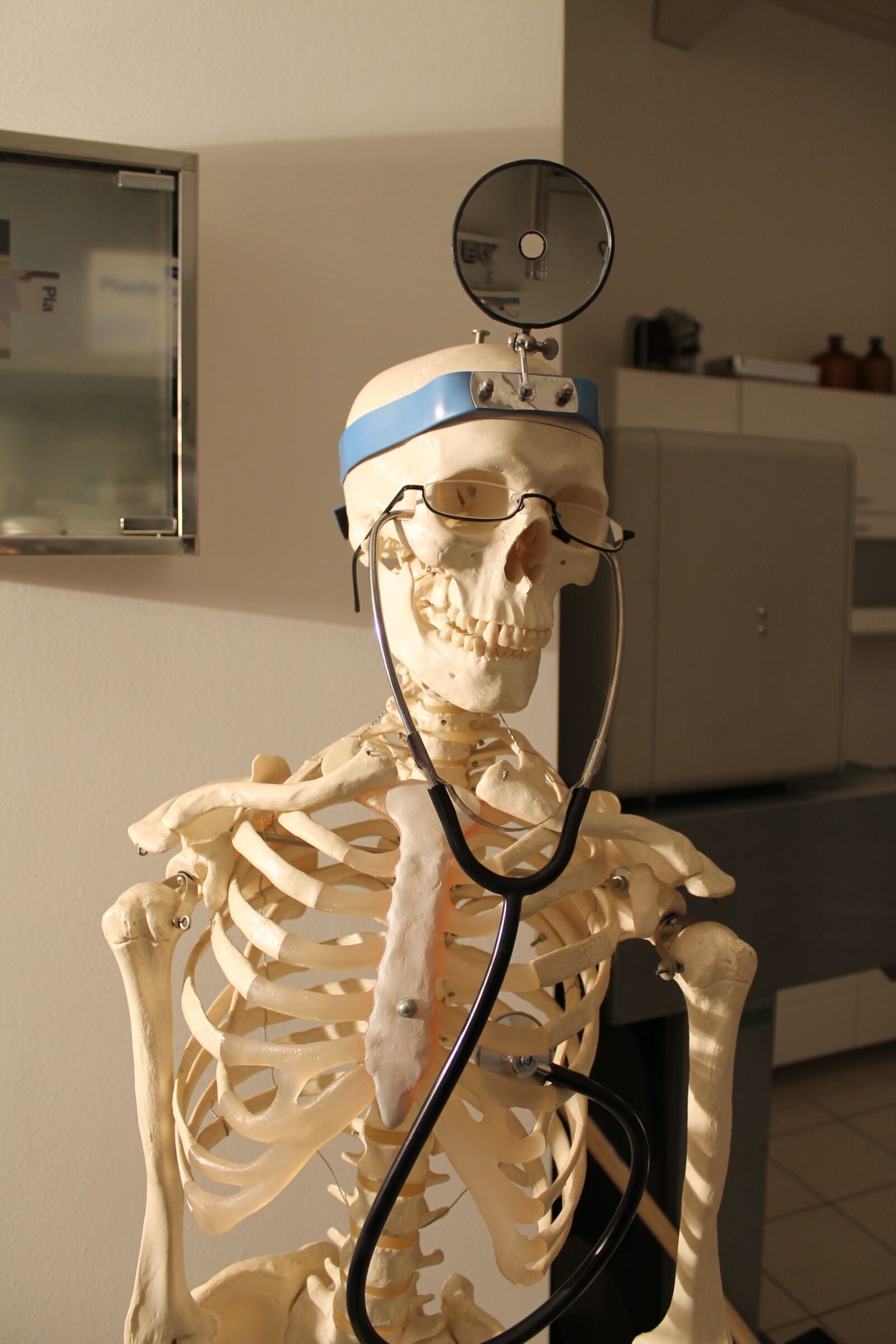 Canon EOS 1100D (EOS Rebel T3 / EOS Kiss X50) sample photo. Skeleton, doctor, fun photography