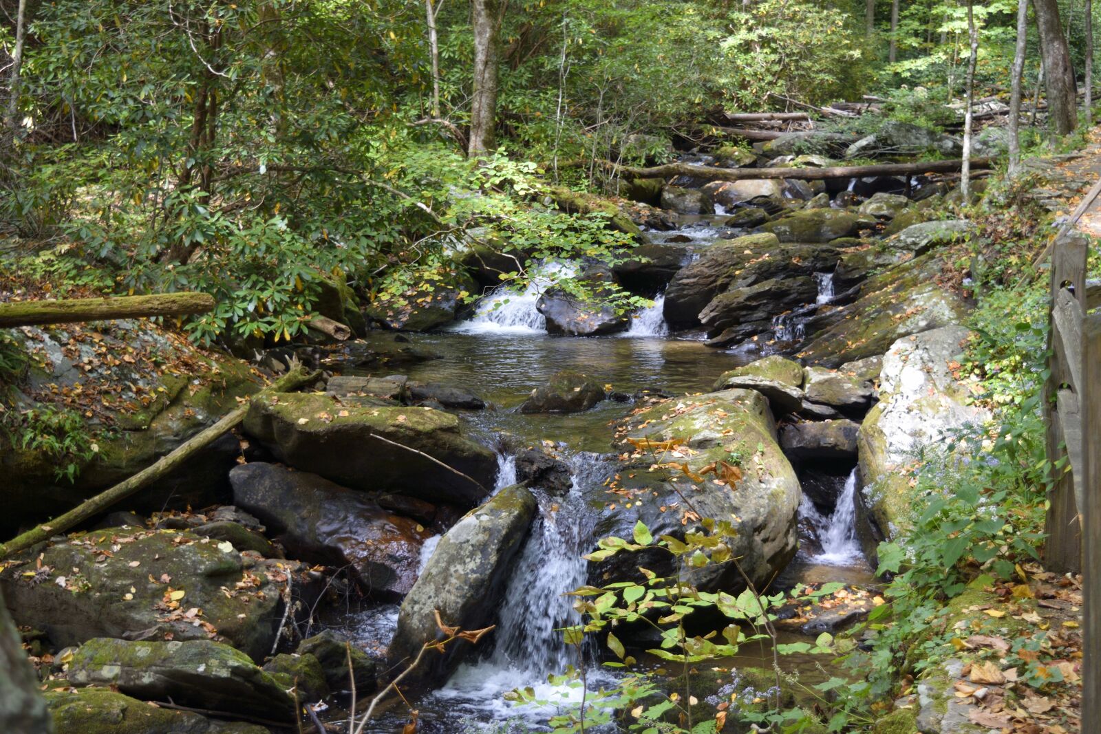 Nikon D3300 sample photo. Water, stream, nature photography