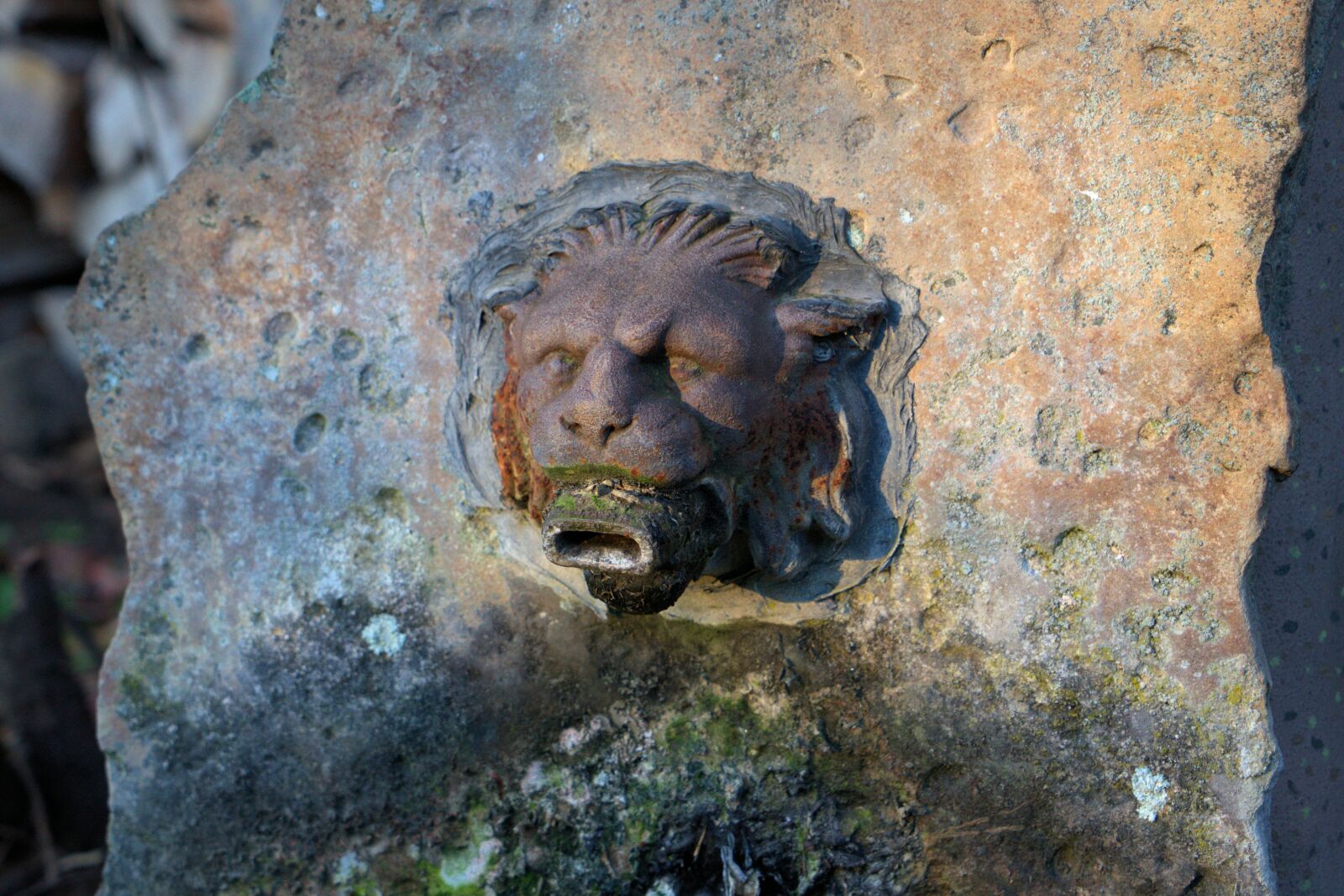 Sony a7 II + Sony Vario Tessar T* FE 24-70mm F4 ZA OSS sample photo. Lion head, water, fountain photography