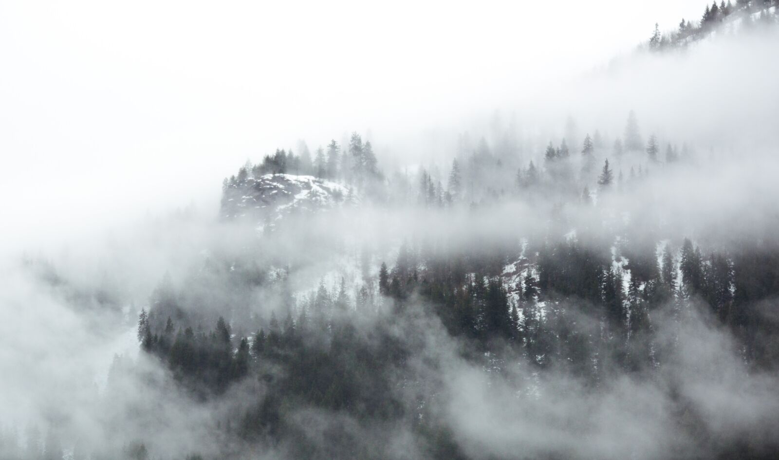 Nikon D7100 sample photo. Mist, misty, fog photography
