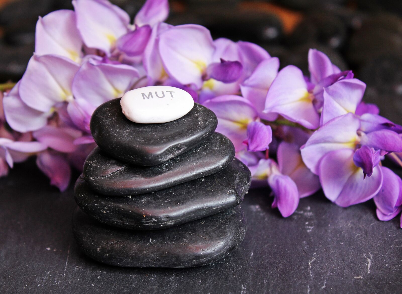 Canon EOS 550D (EOS Rebel T2i / EOS Kiss X4) sample photo. Balance, meditation, stones photography
