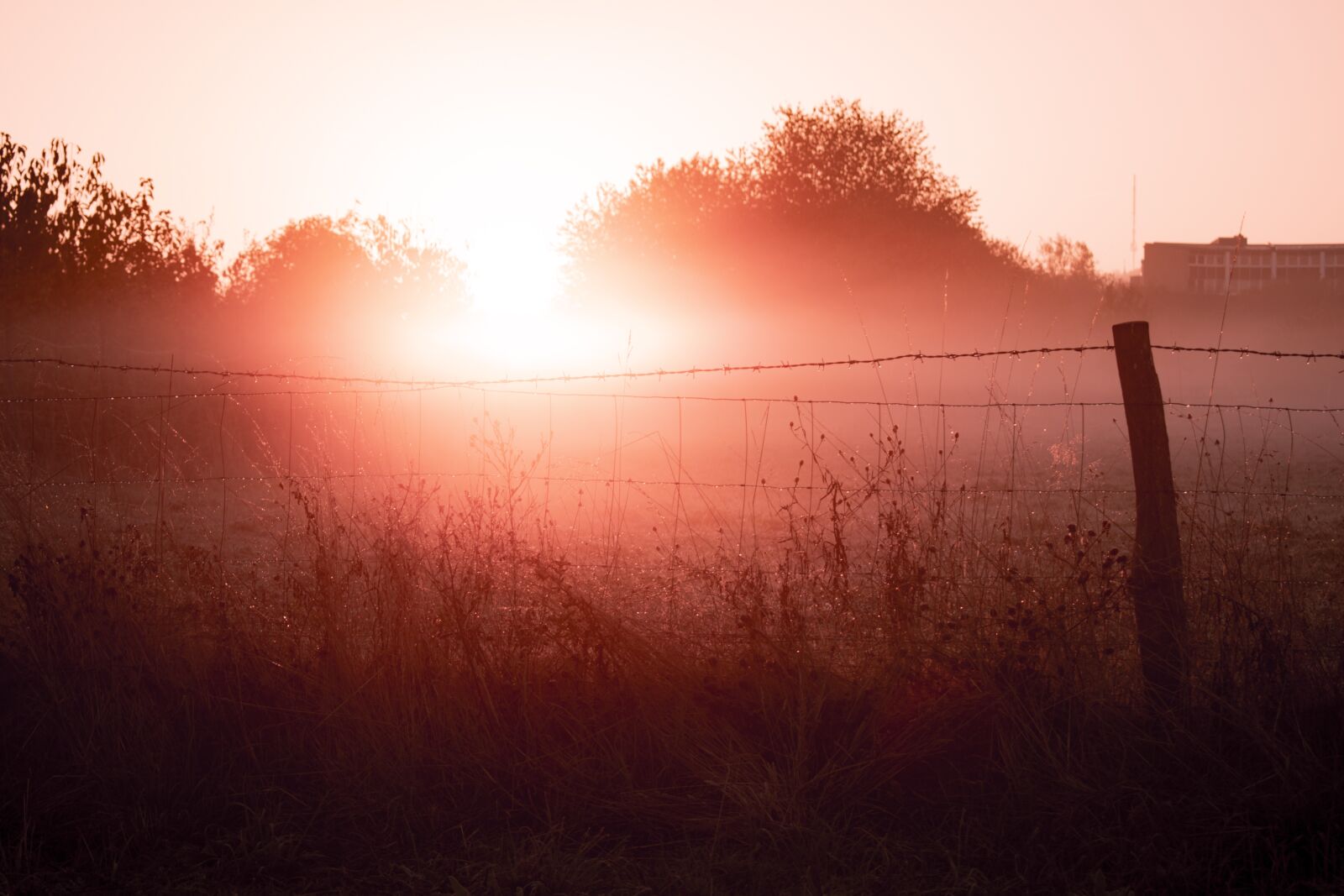 Nikon D5300 sample photo. Sunrise, sun, fog photography
