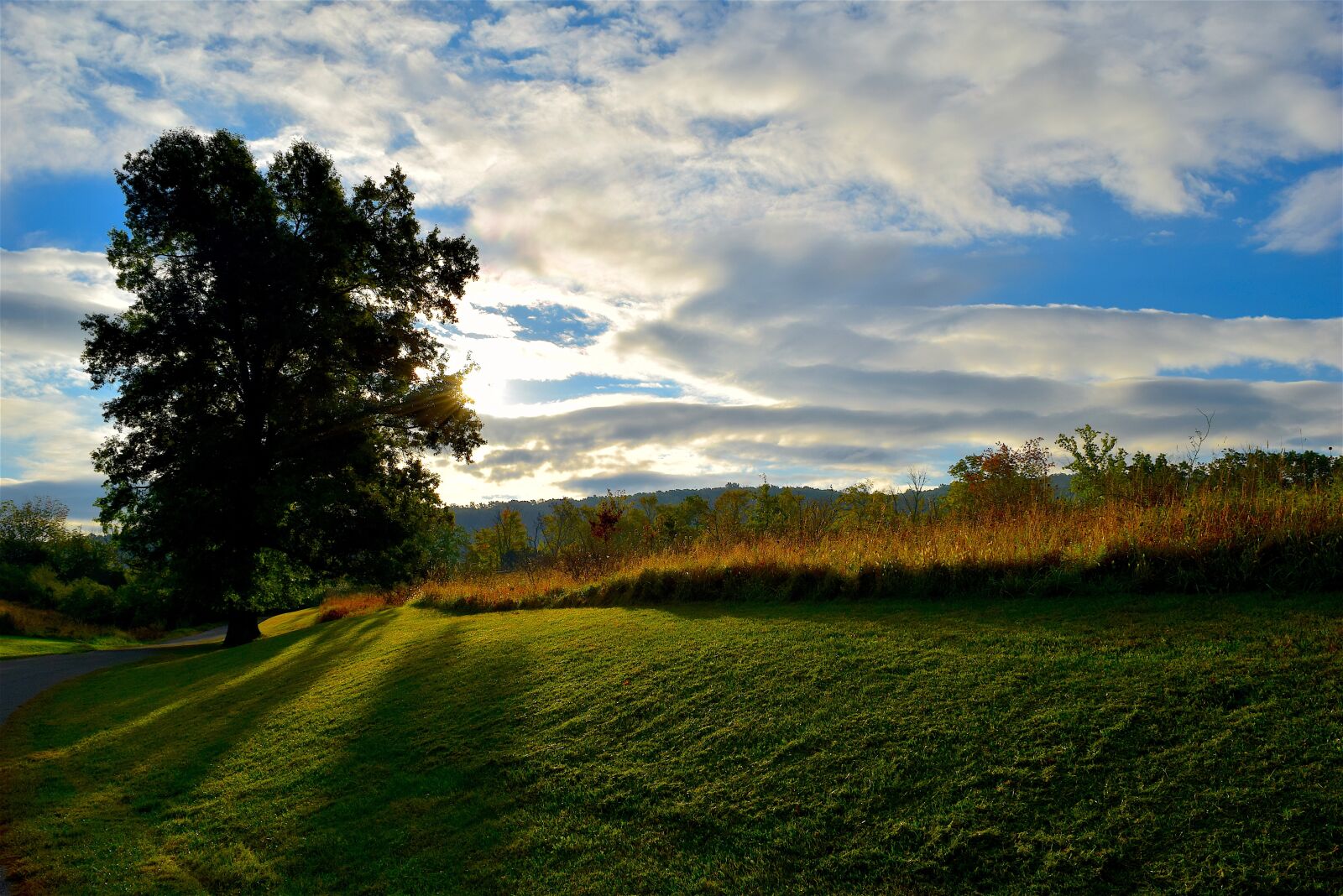 Nikon D3300 sample photo. Sunrise, tree, shadow photography