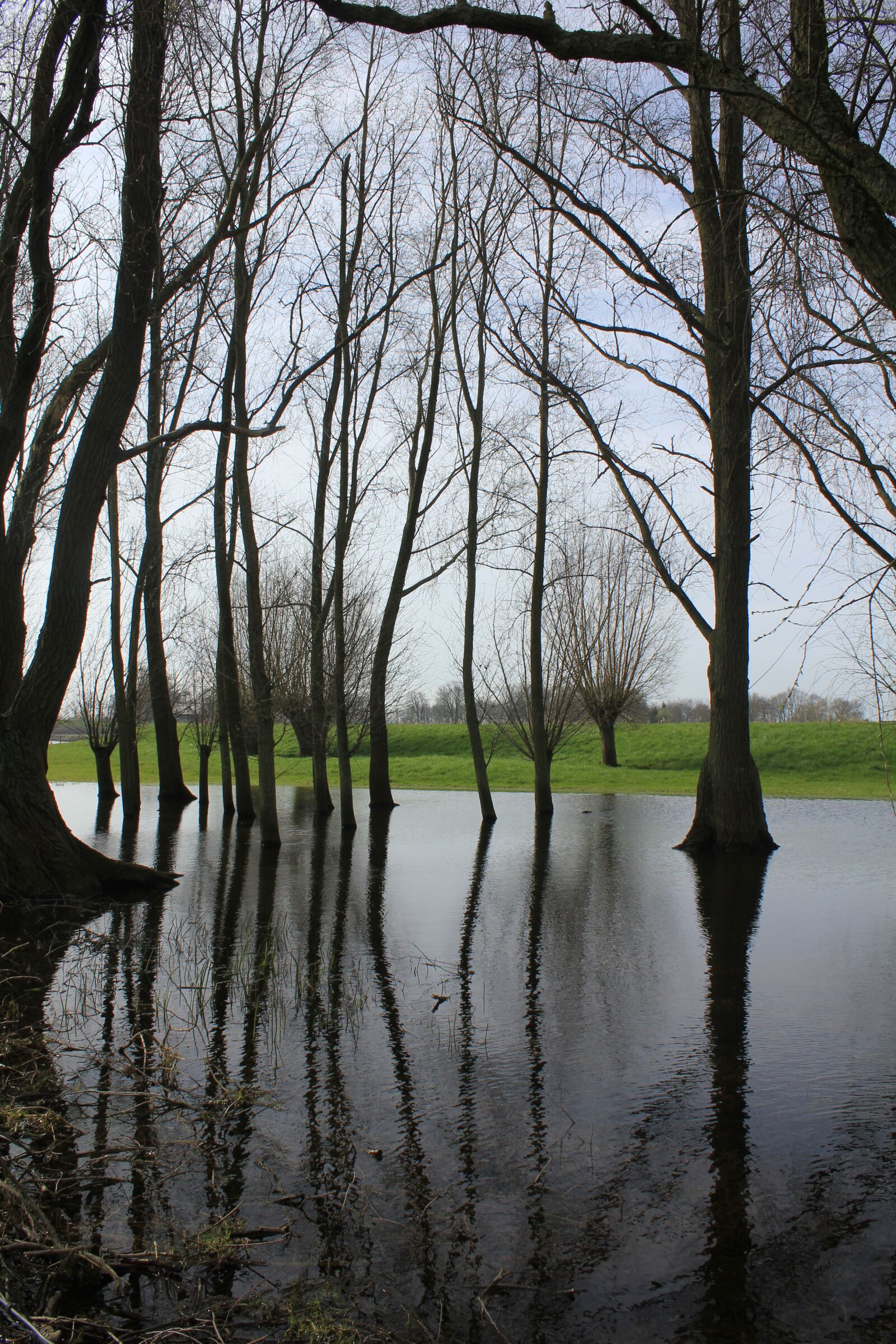 Canon EOS 550D (EOS Rebel T2i / EOS Kiss X4) sample photo. Silent water, trees, mirror photography