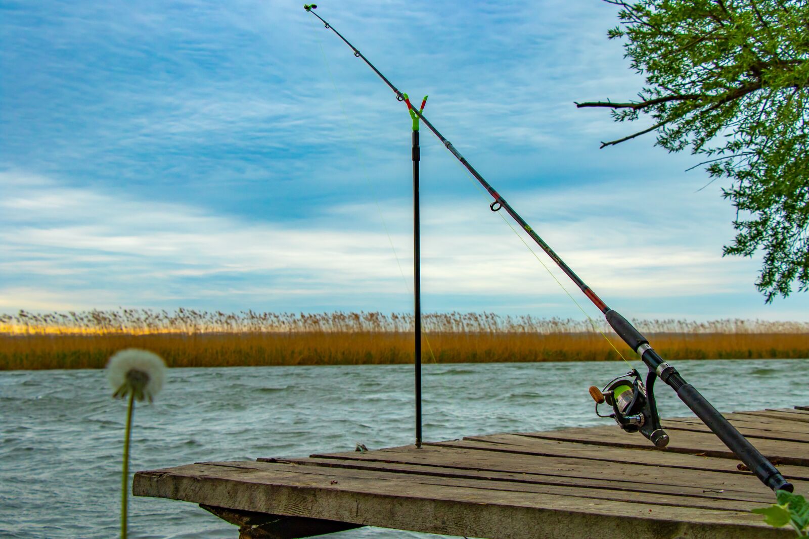 Canon EF-S 18-135mm F3.5-5.6 IS USM sample photo. Rod, fishing, fishing reel photography