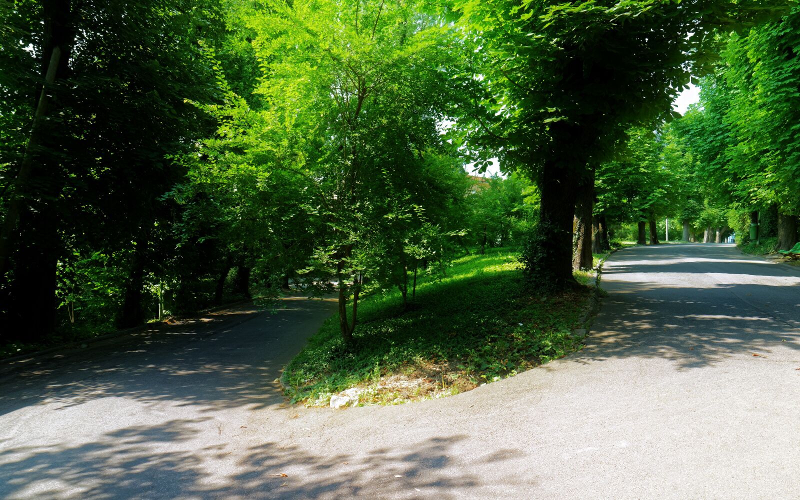 Nikon D5300 sample photo. Landscape, nature, park photography