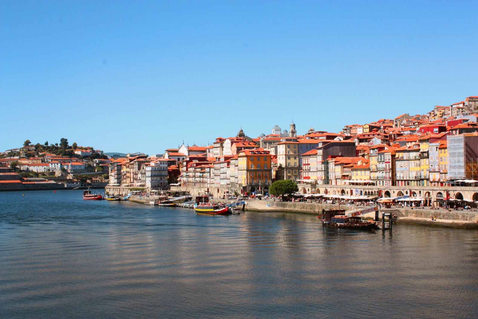 Canon EOS 450D (EOS Rebel XSi / EOS Kiss X2) sample photo. Porto, oporto, portugal photography