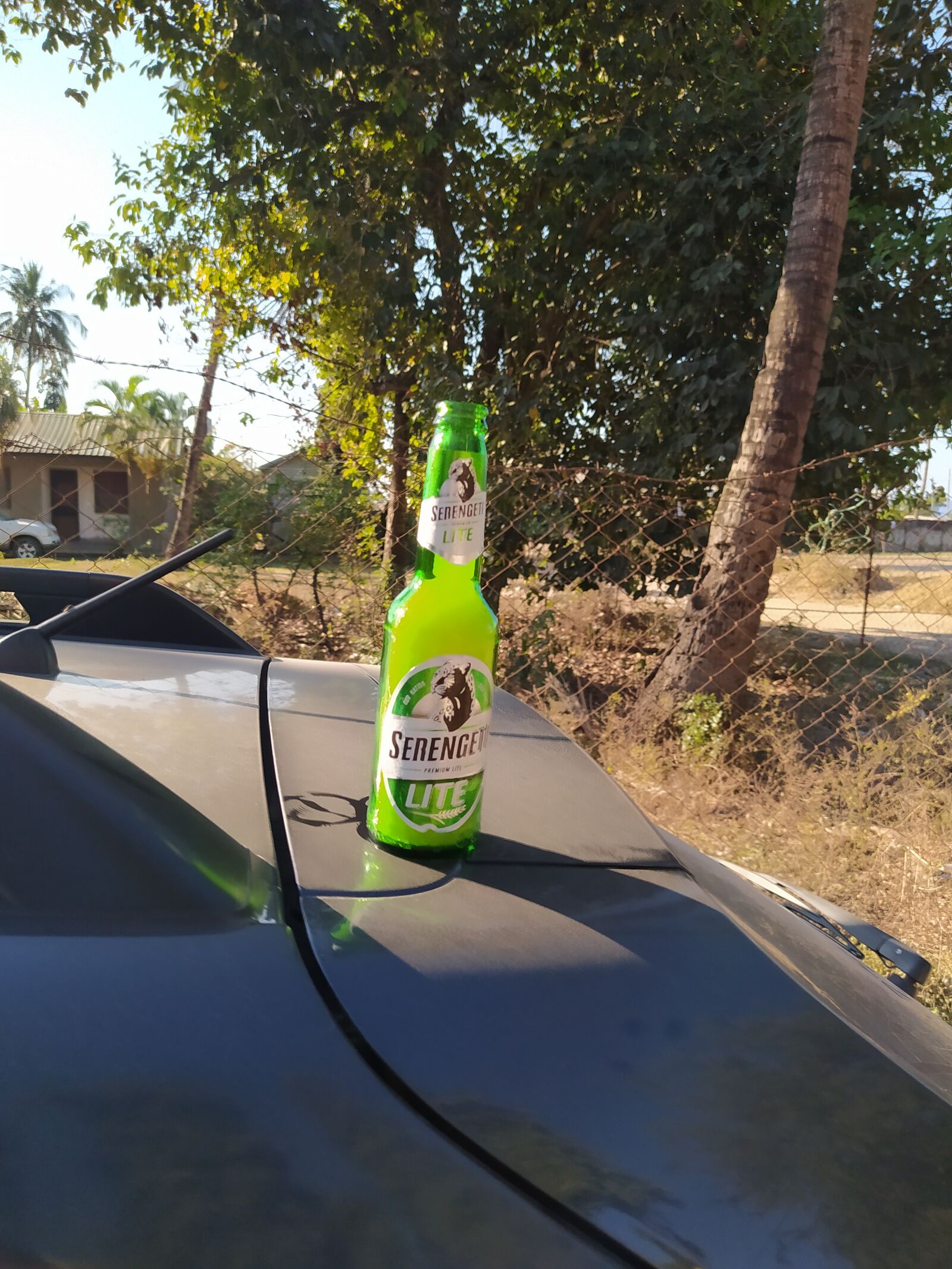 Xiaomi Redmi Note 8 sample photo. Serengeti, beer, balling photography
