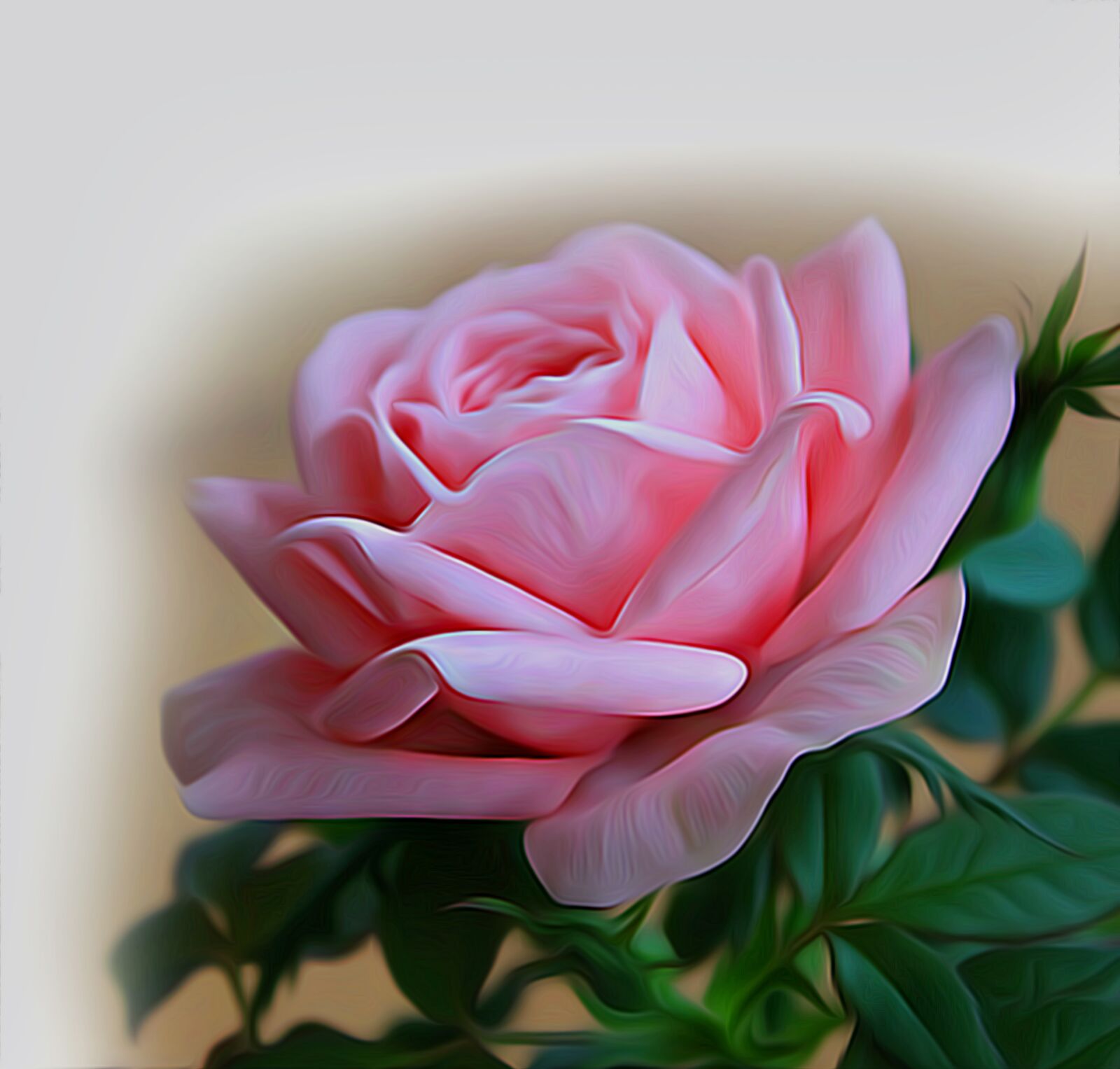 Canon EOS 1100D (EOS Rebel T3 / EOS Kiss X50) sample photo. Rose, pink, flowers photography