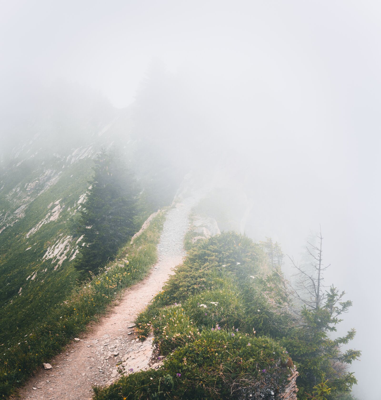 Sony a6300 + Sigma 30mm F2.8 EX DN sample photo. Schynige platte, daube, hiking photography